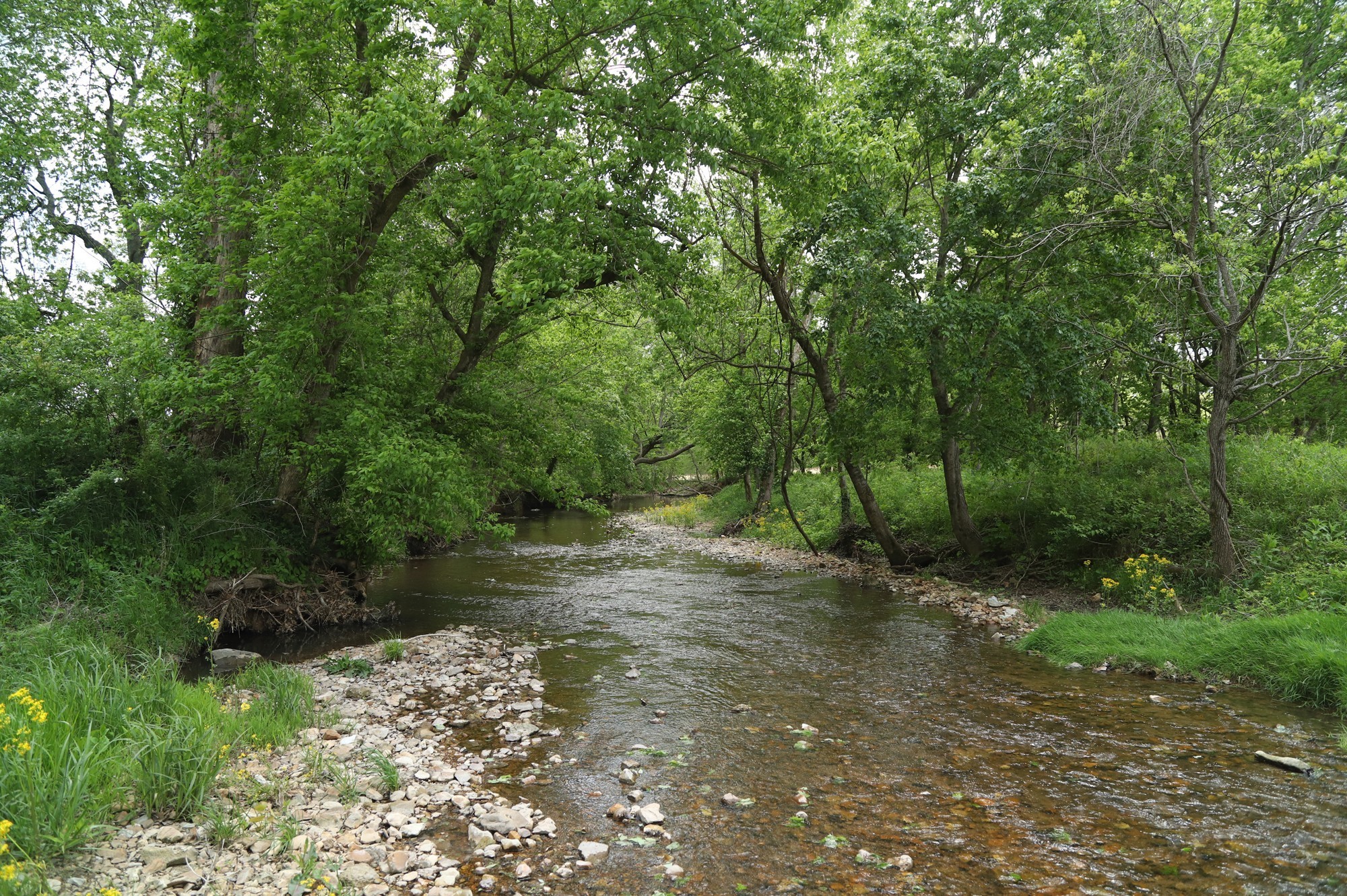 4801 Highway 48 Property Photo 6