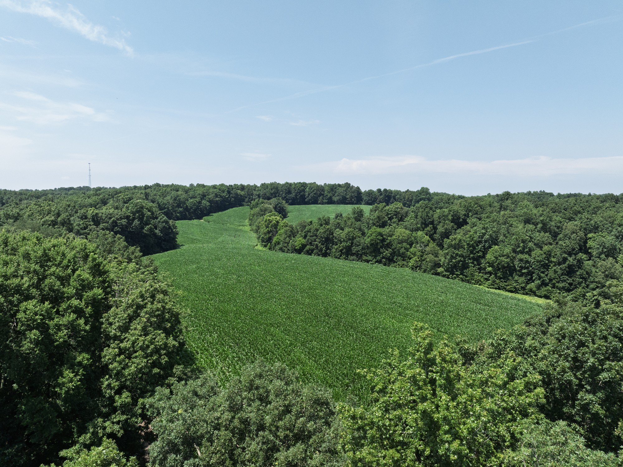 4801 Highway 48 Property Photo 9