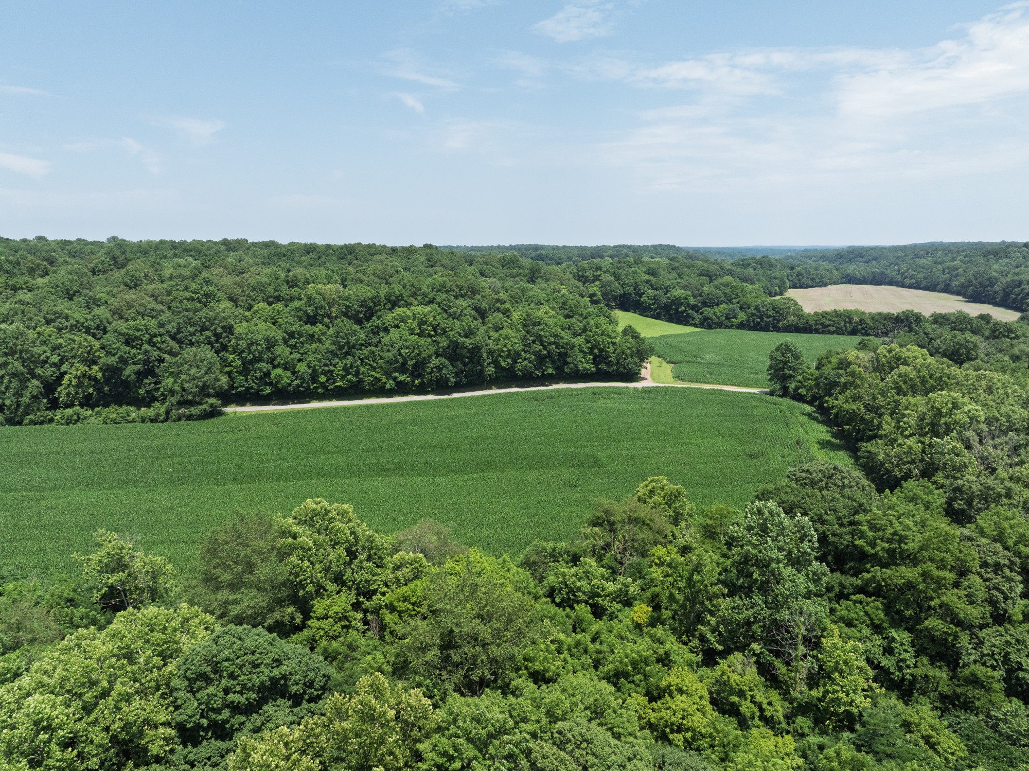 4801 Highway 48 Property Photo 12