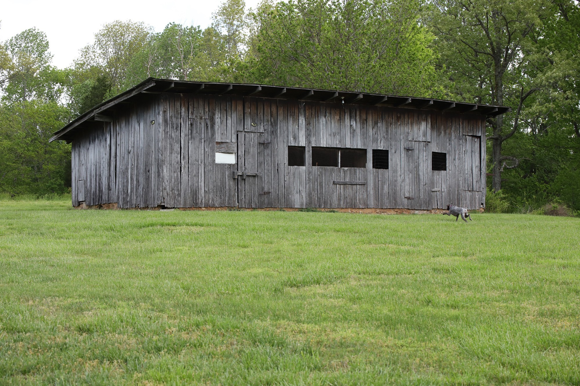 4801 Highway 48 Property Photo 21