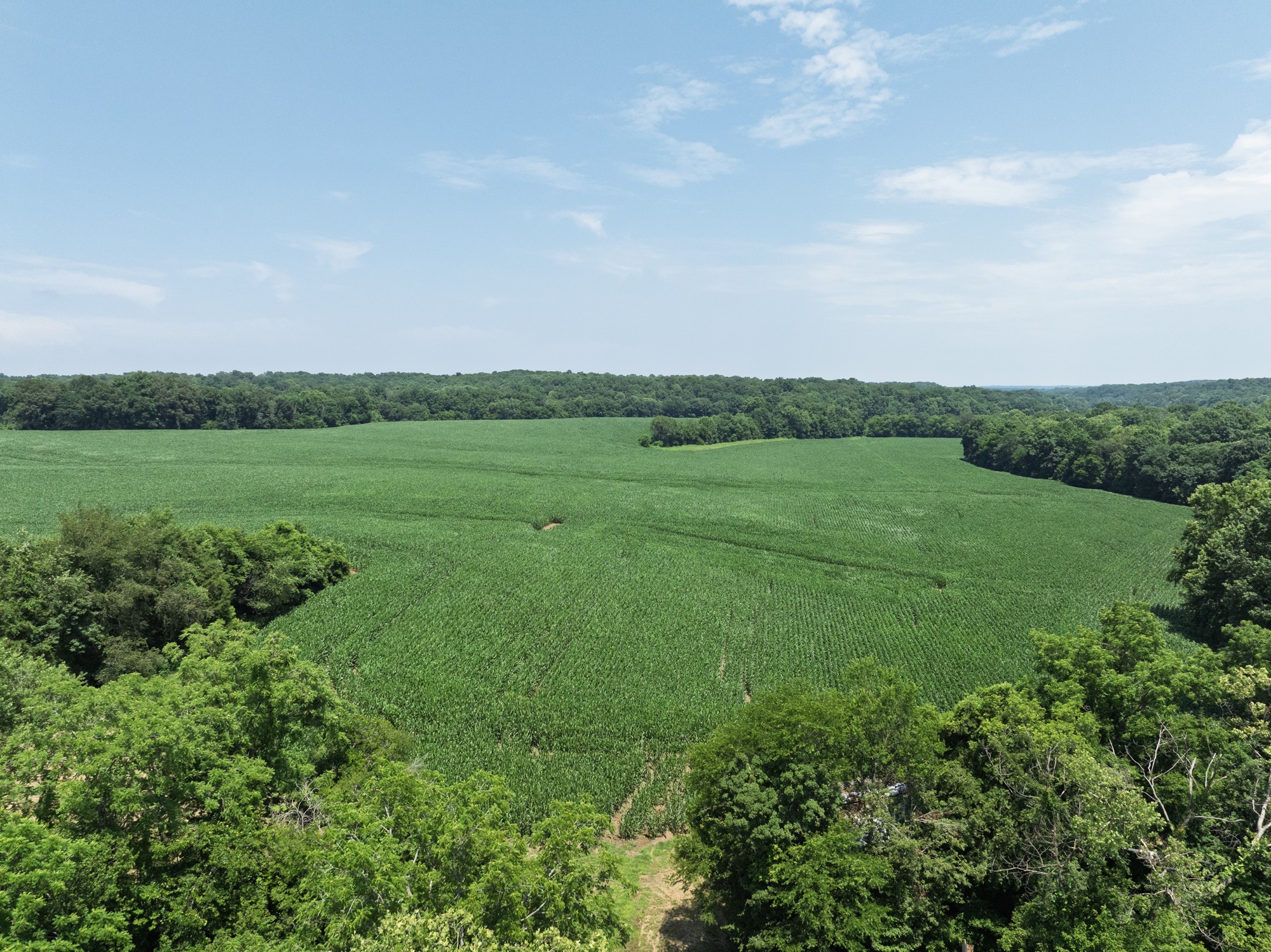 4801 Highway 48 Property Photo 22