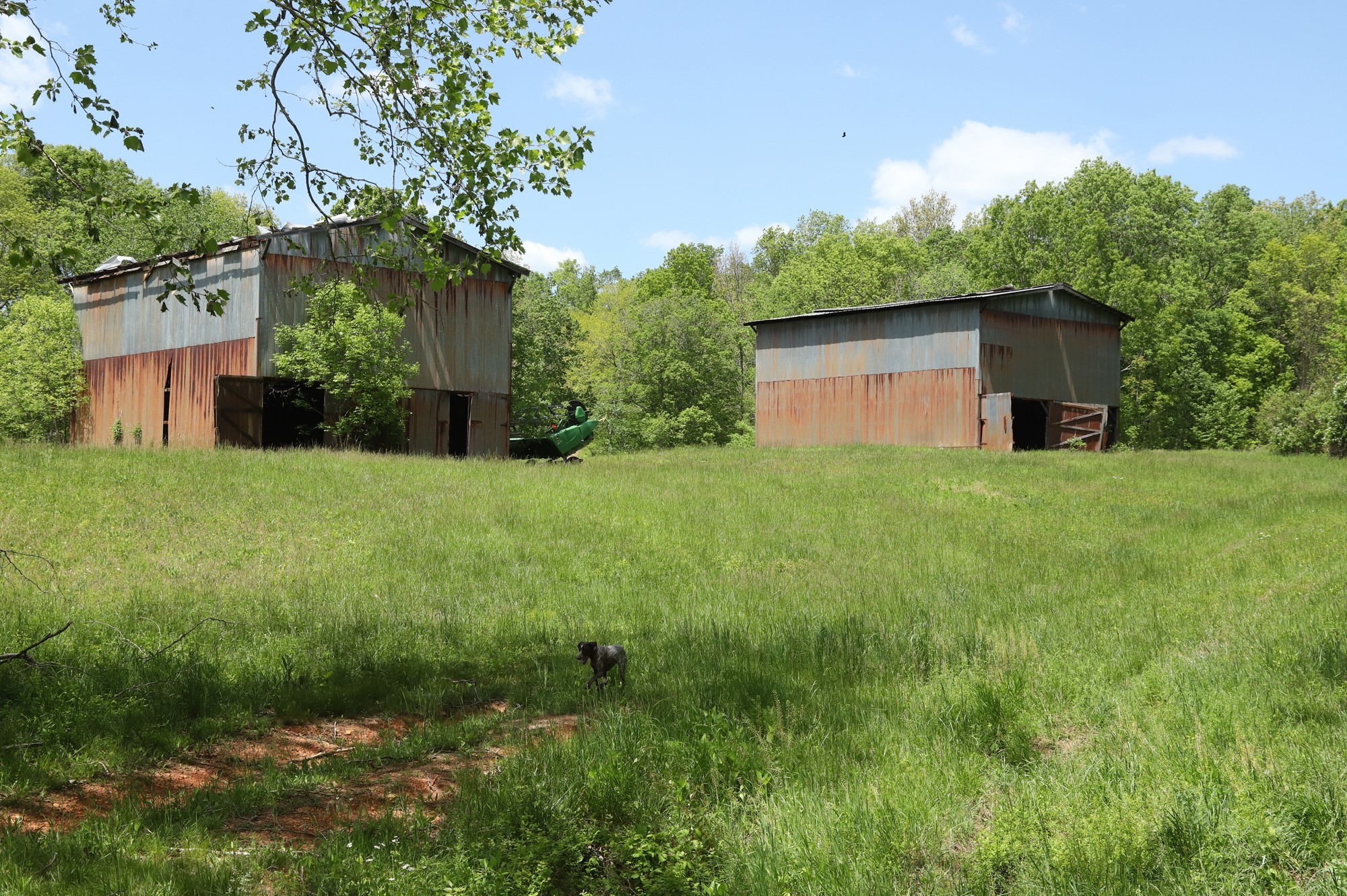 4801 Highway 48 Property Photo 23