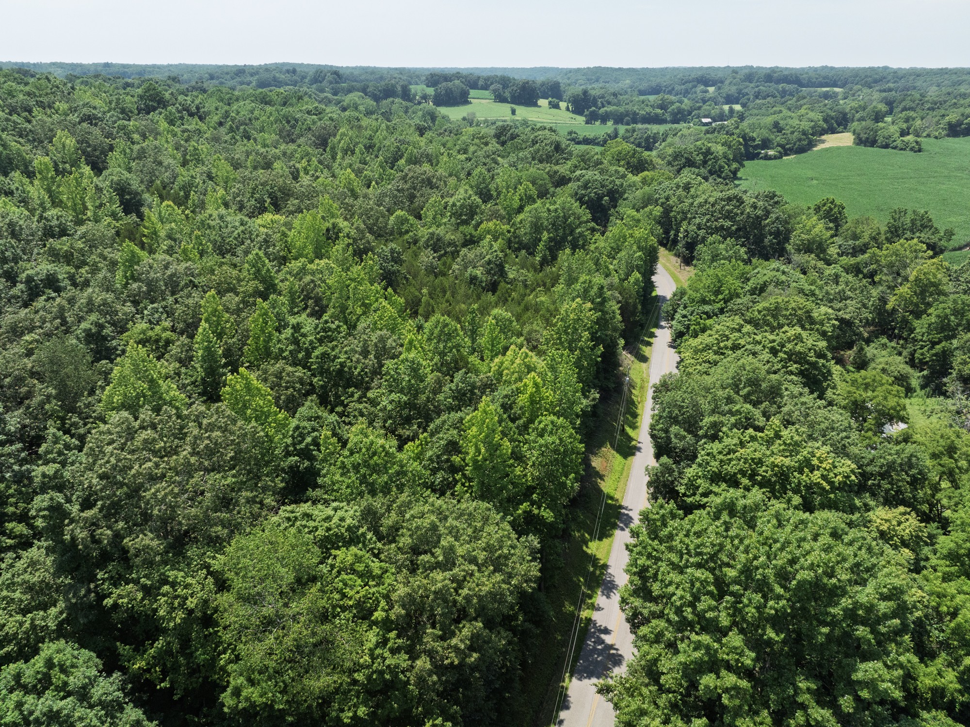 4801 Highway 48 Property Photo 42