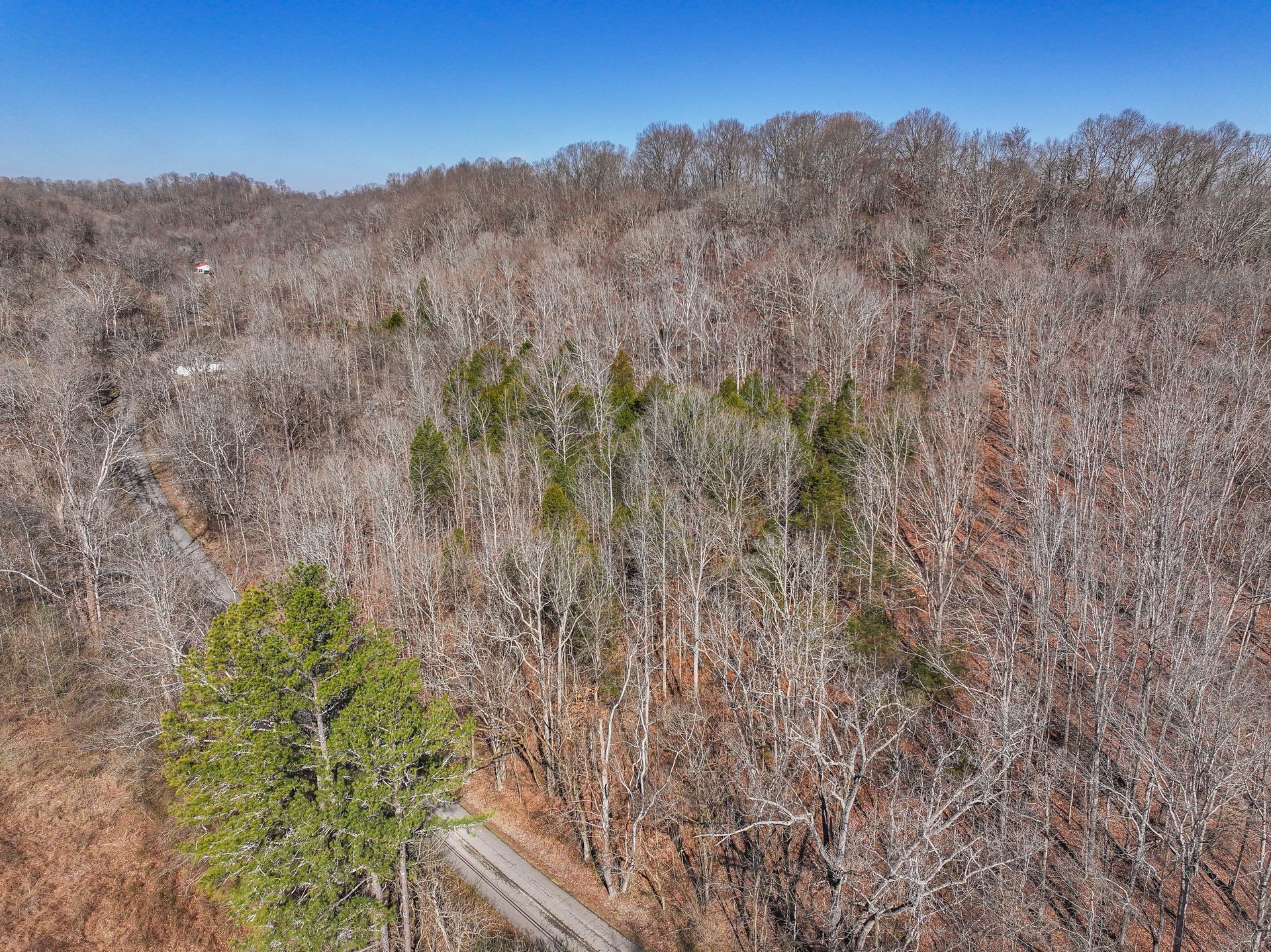 0 Sulphur Creek Rd Property Photo 5