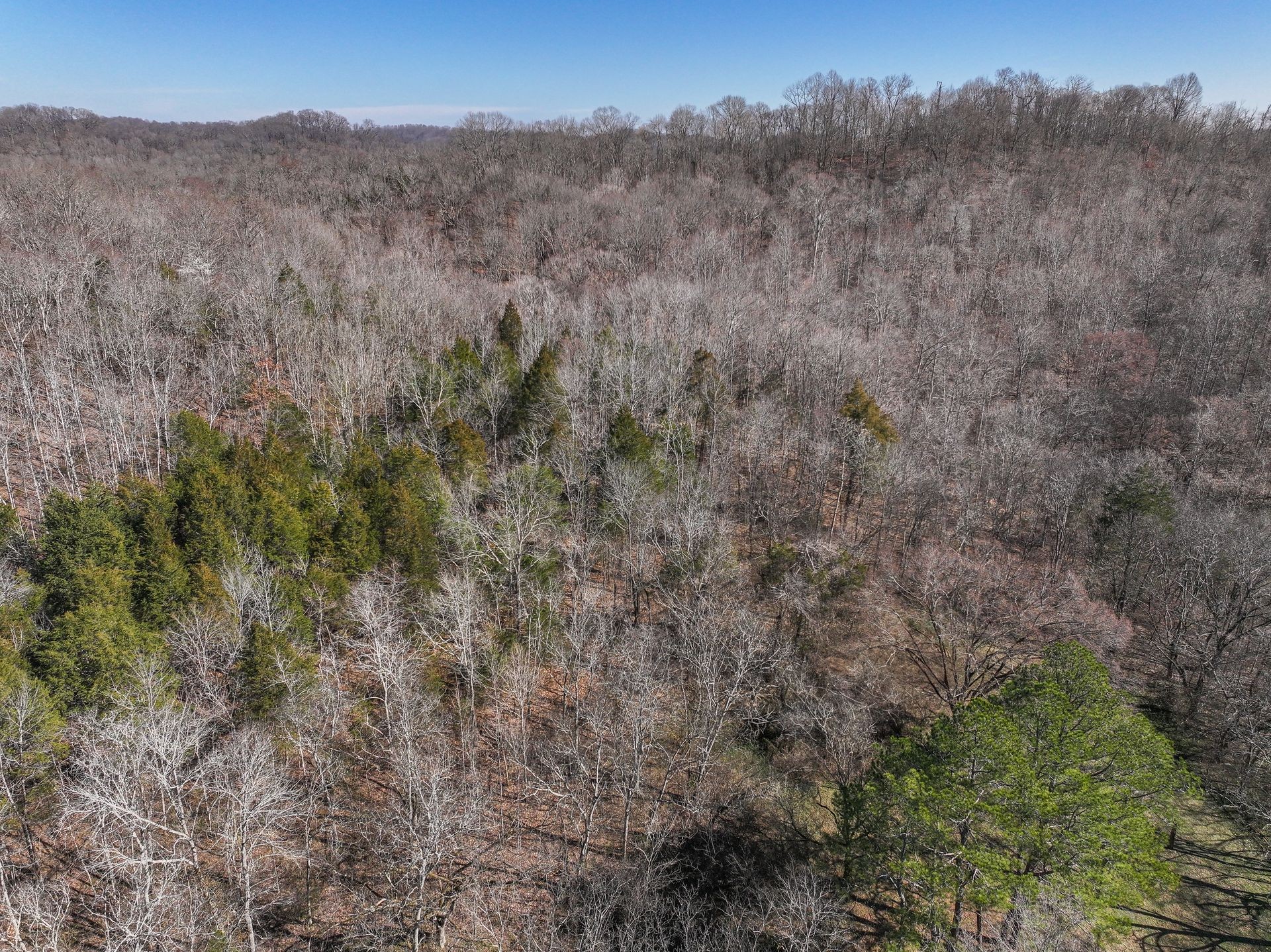 0 Sulphur Creek Rd Property Photo 6