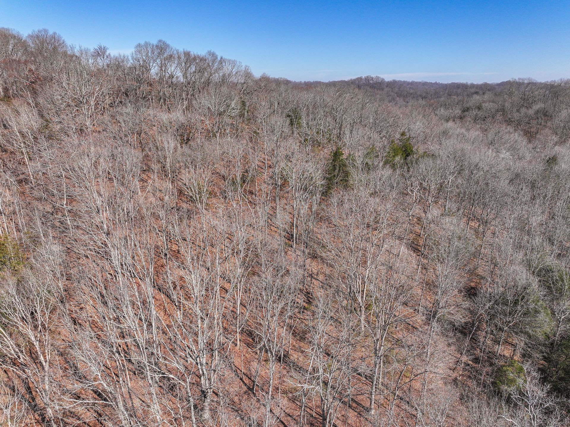 0 Sulphur Creek Rd Property Photo 8