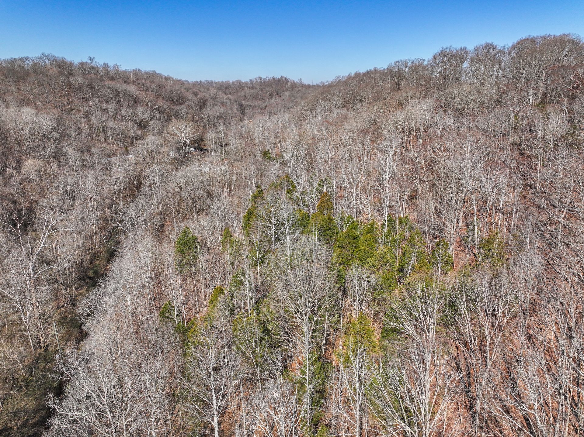 0 Sulphur Creek Rd Property Photo 9