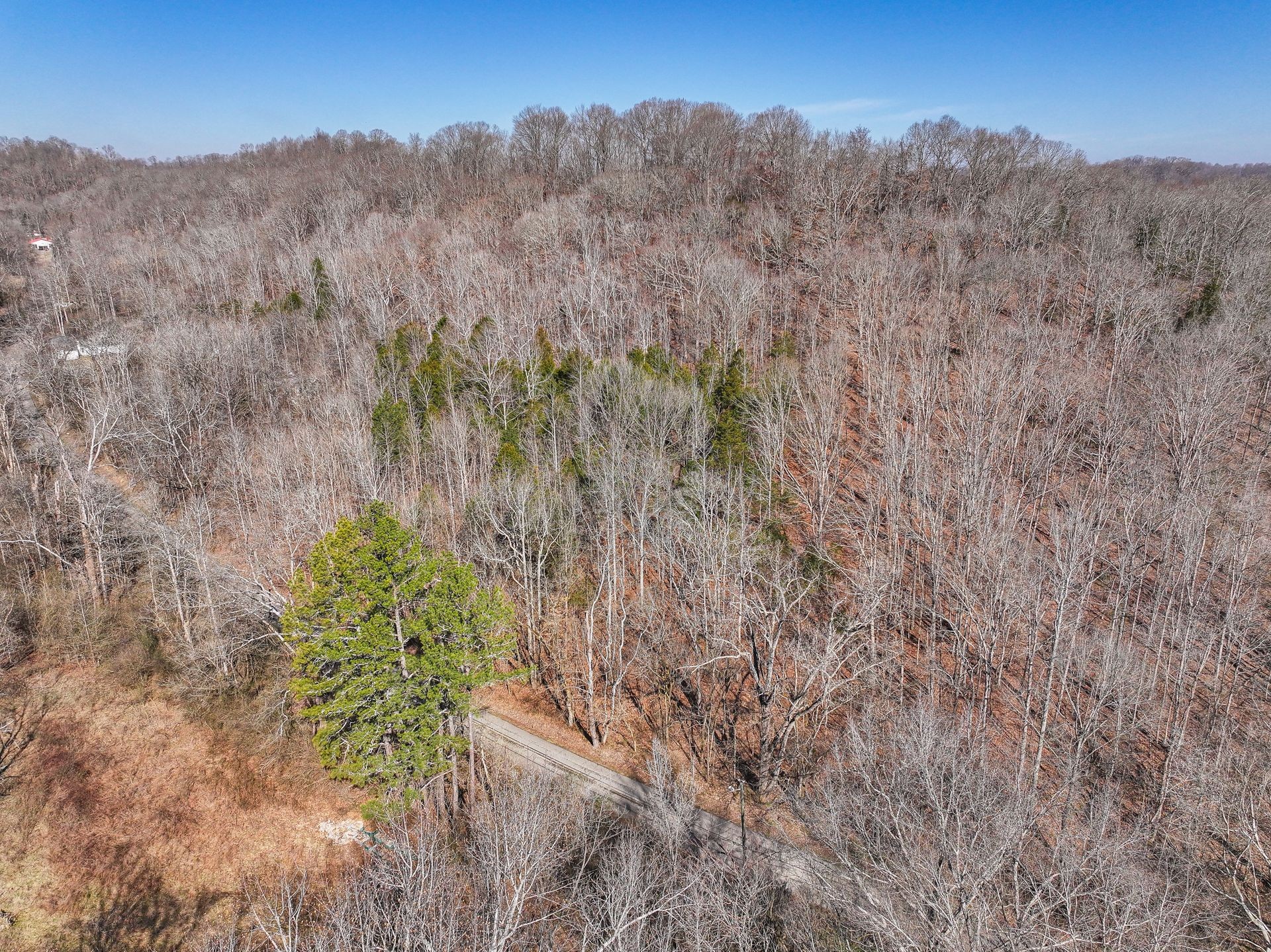 0 Sulphur Creek Rd Property Photo 10