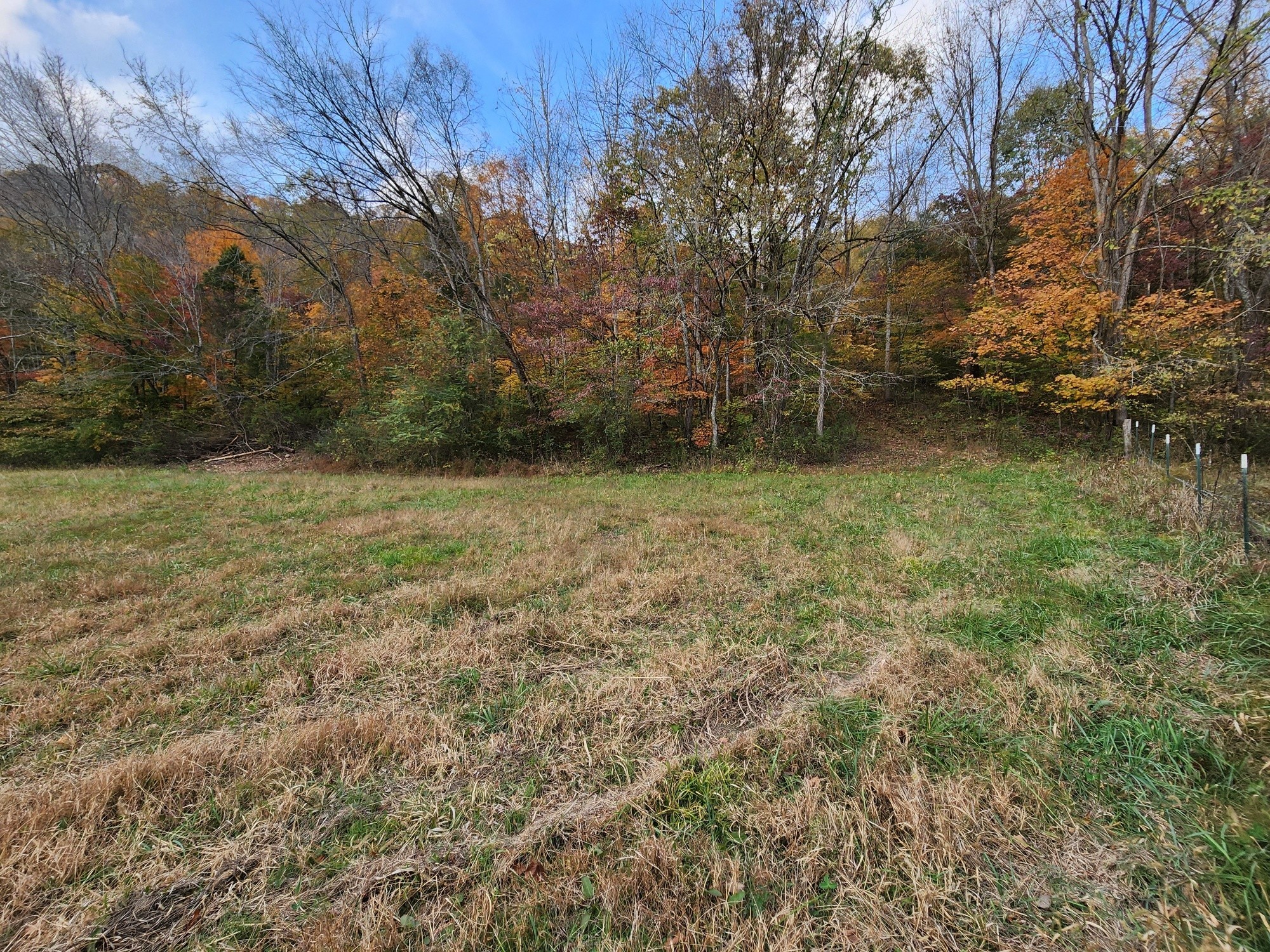 0 Pine Lick Rd Property Photo 3