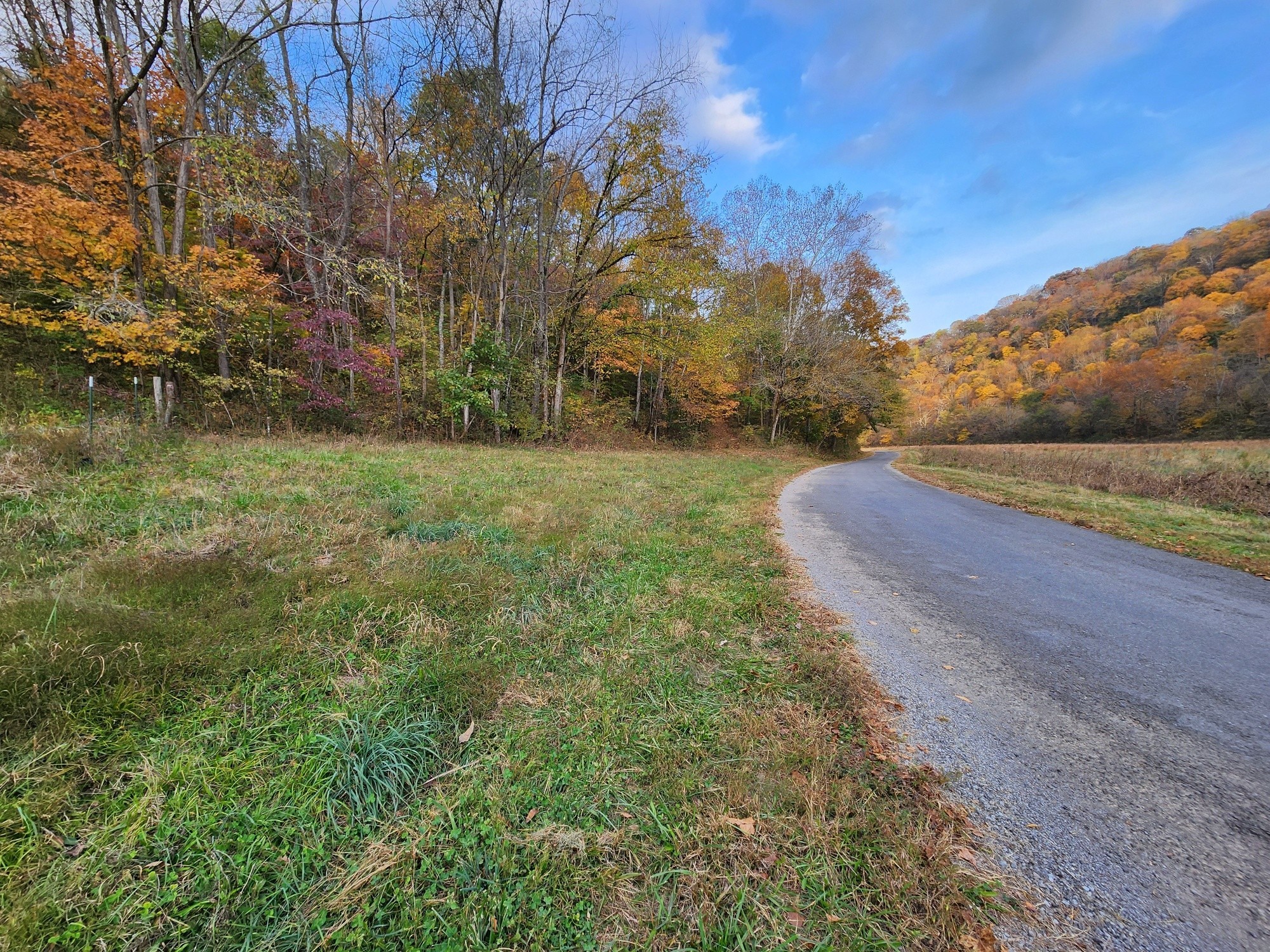 0 Pine Lick Rd Property Photo 4