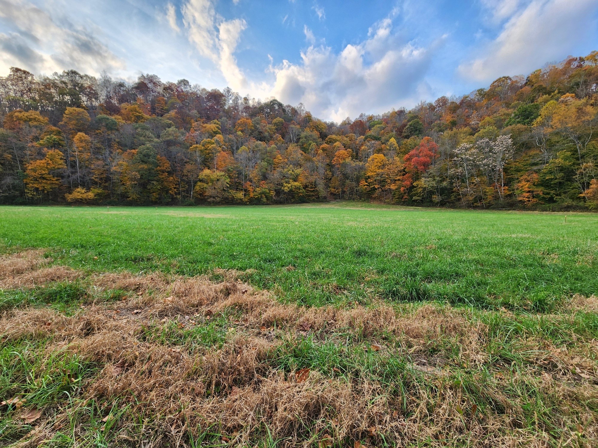 0 Pine Lick Rd Property Photo 1