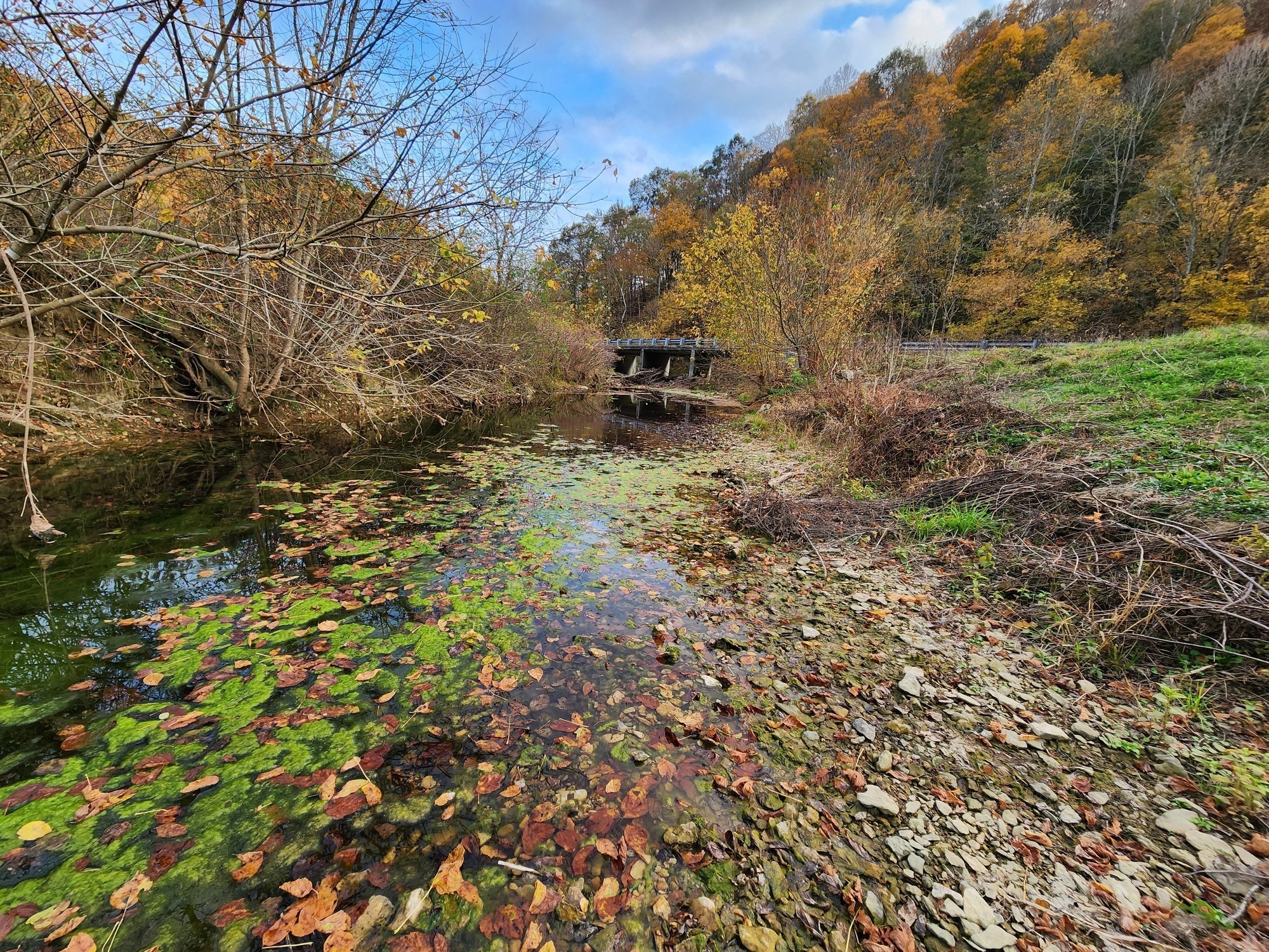 0 Pine Lick Rd Property Photo 3