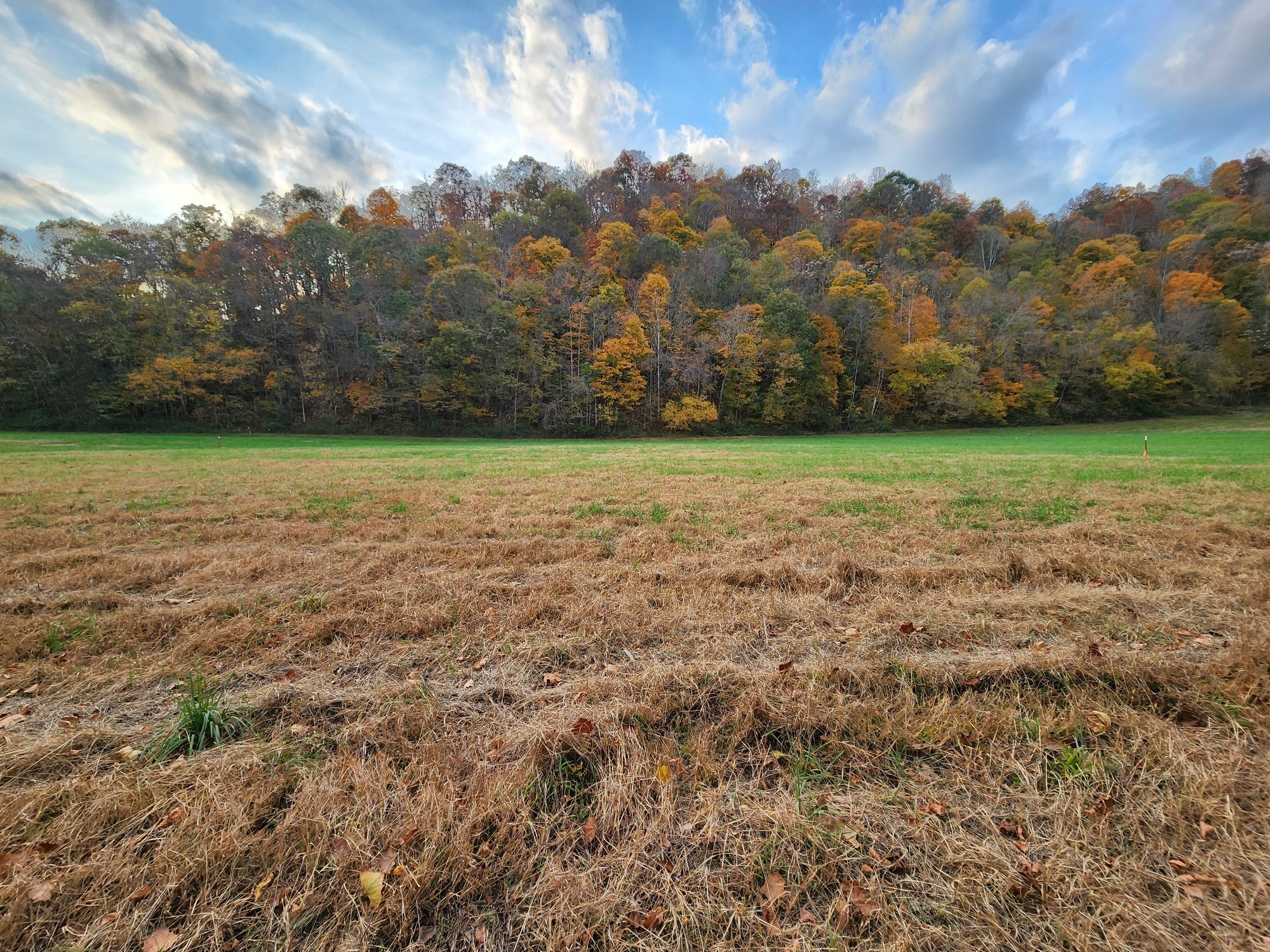 0 Pine Lick Rd Property Photo 15