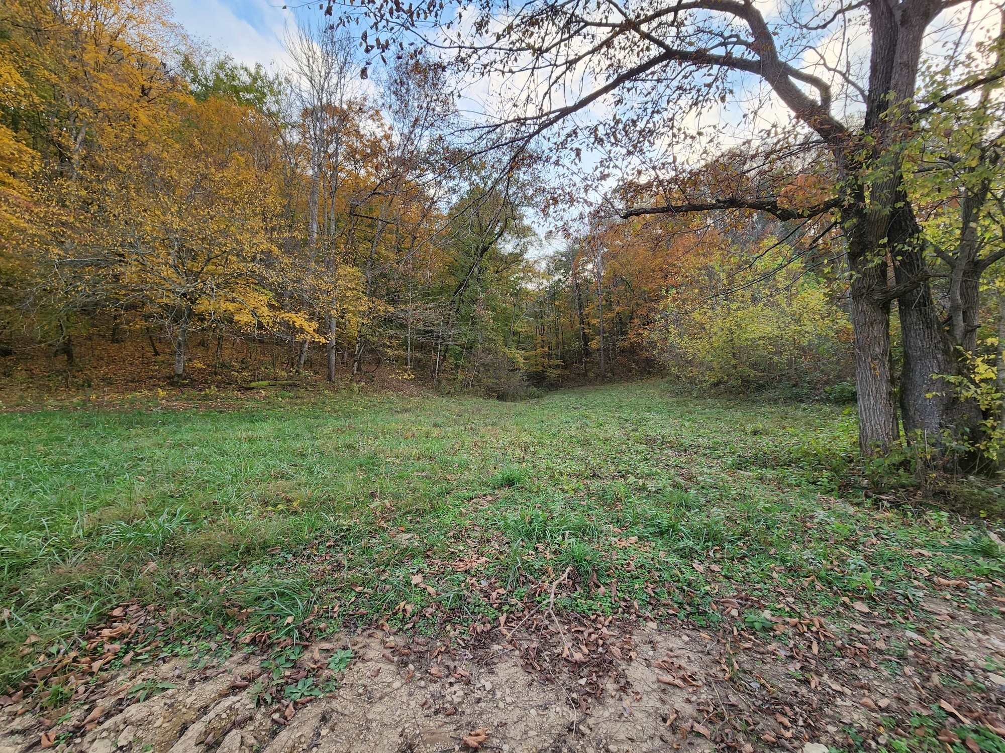 0 Pine Lick Rd Property Photo 1