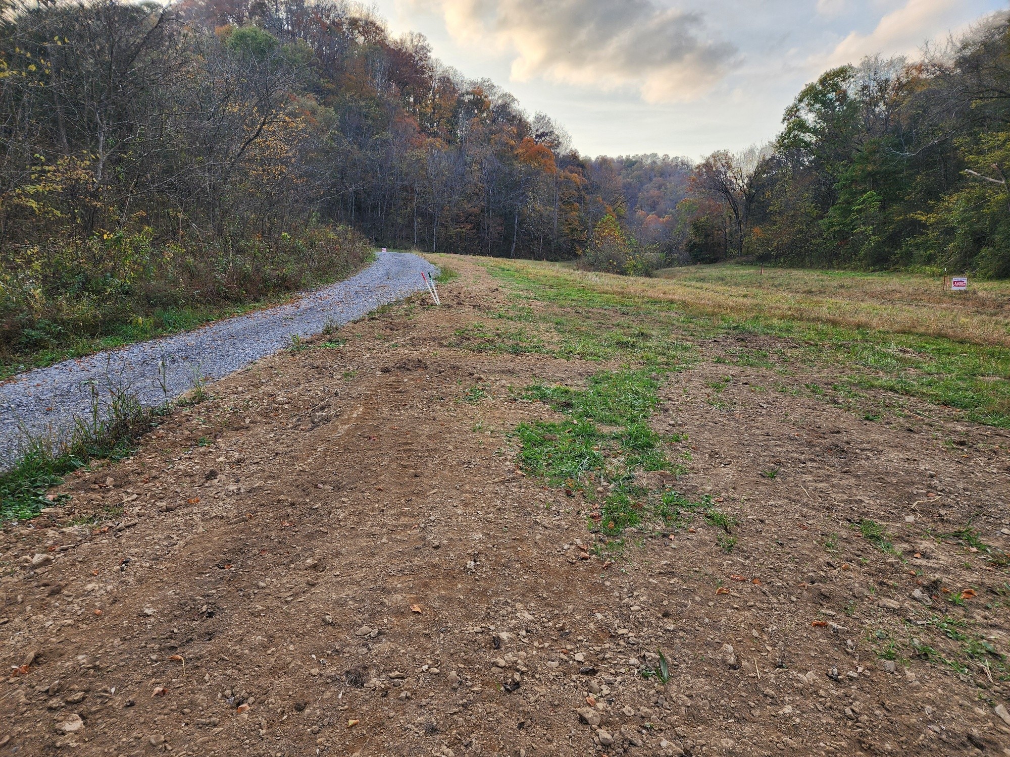 0 Pine Lick Rd Property Photo 3