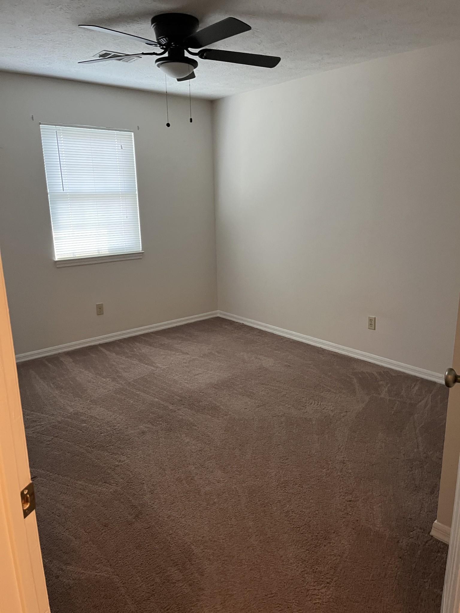 302 Plymouth Rock Ct Property Photo 6