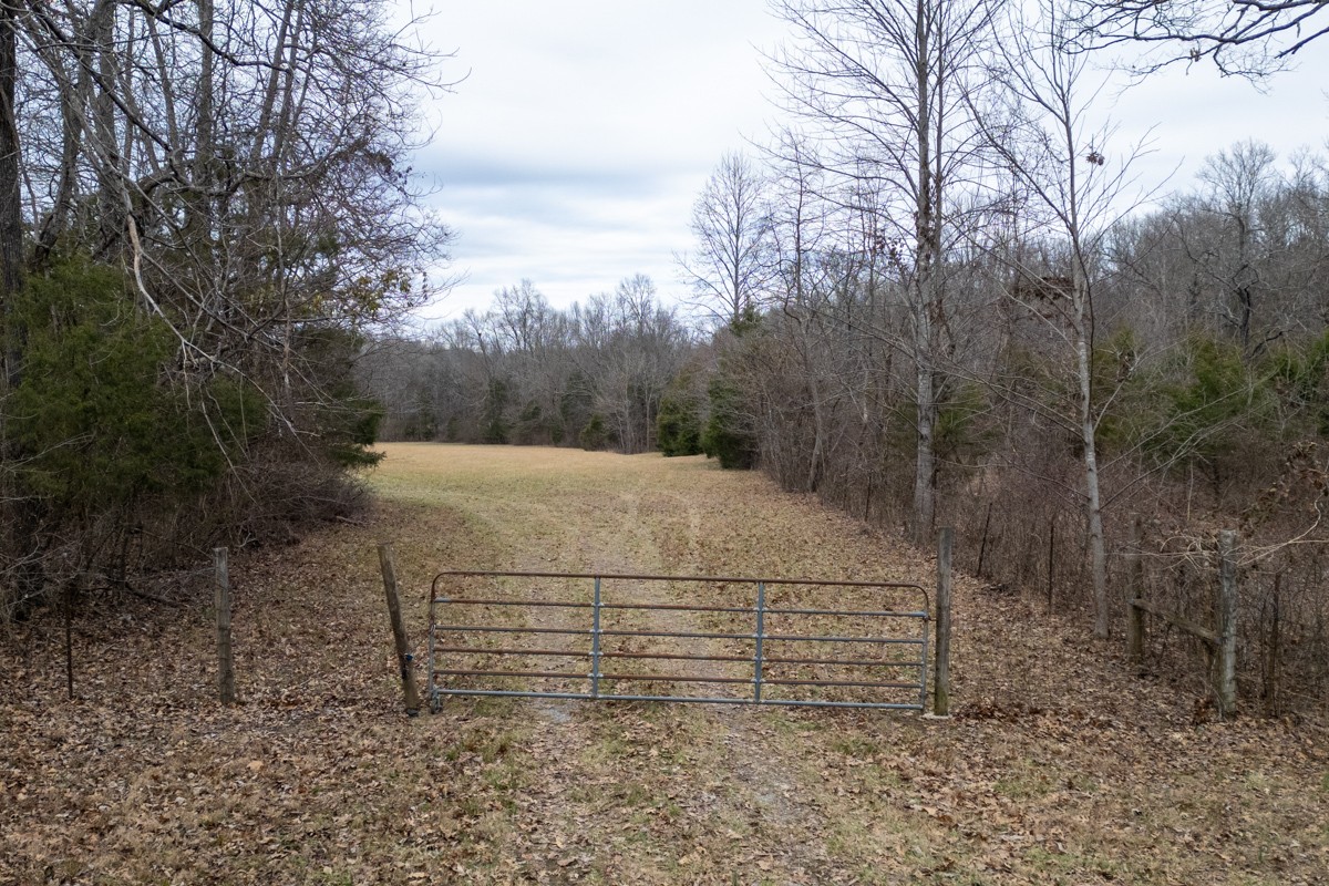 447 Sanders Ln Property Photo 2