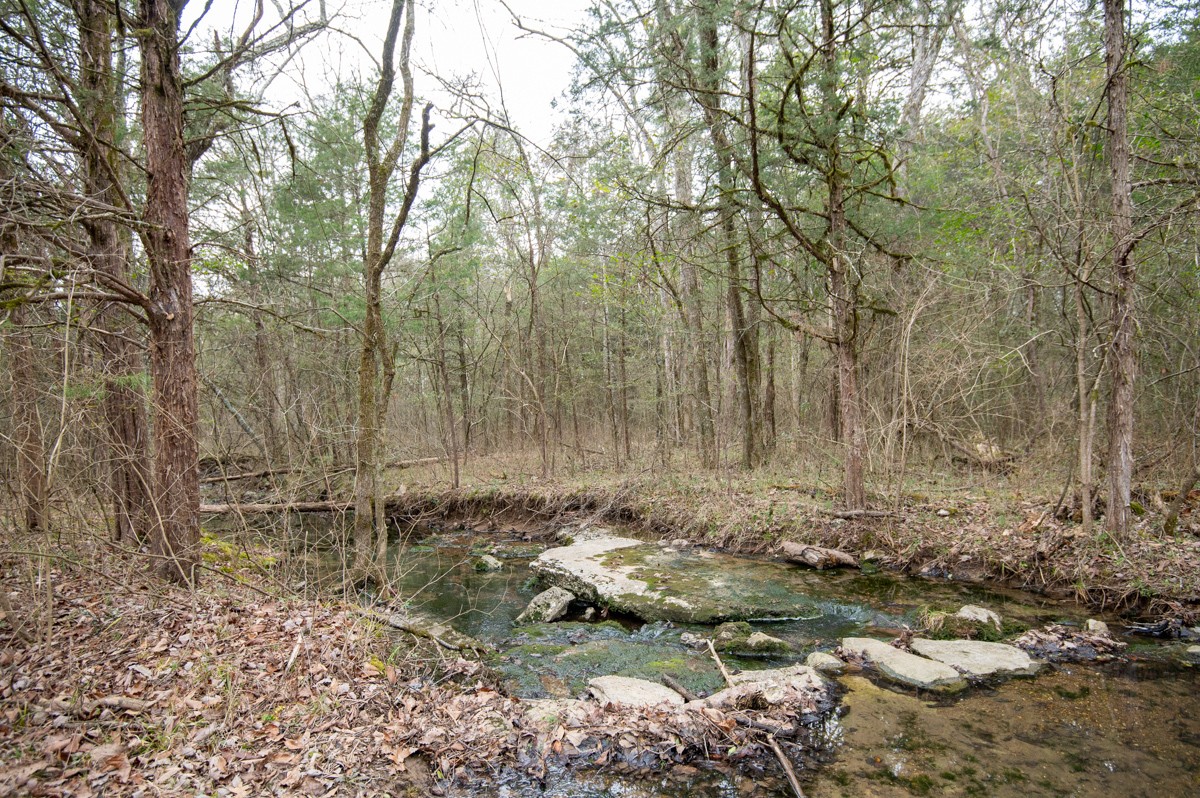 447 Sanders Ln Property Photo 15