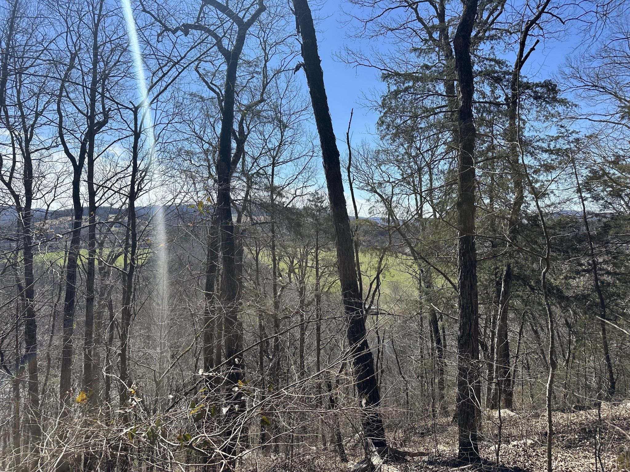 0 Ben Gentry Ln Property Photo 15