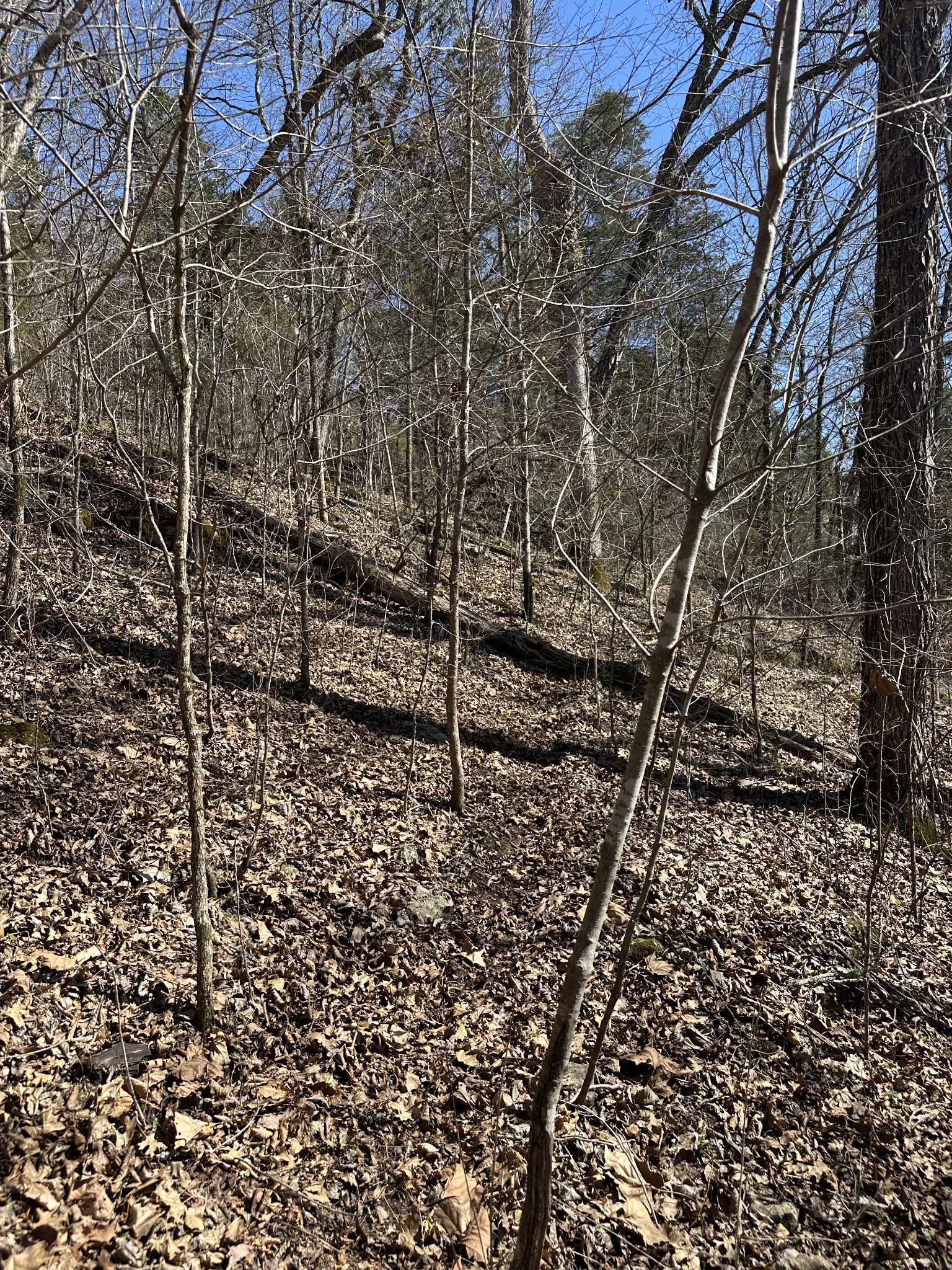 0 Ben Gentry Ln Property Photo 16