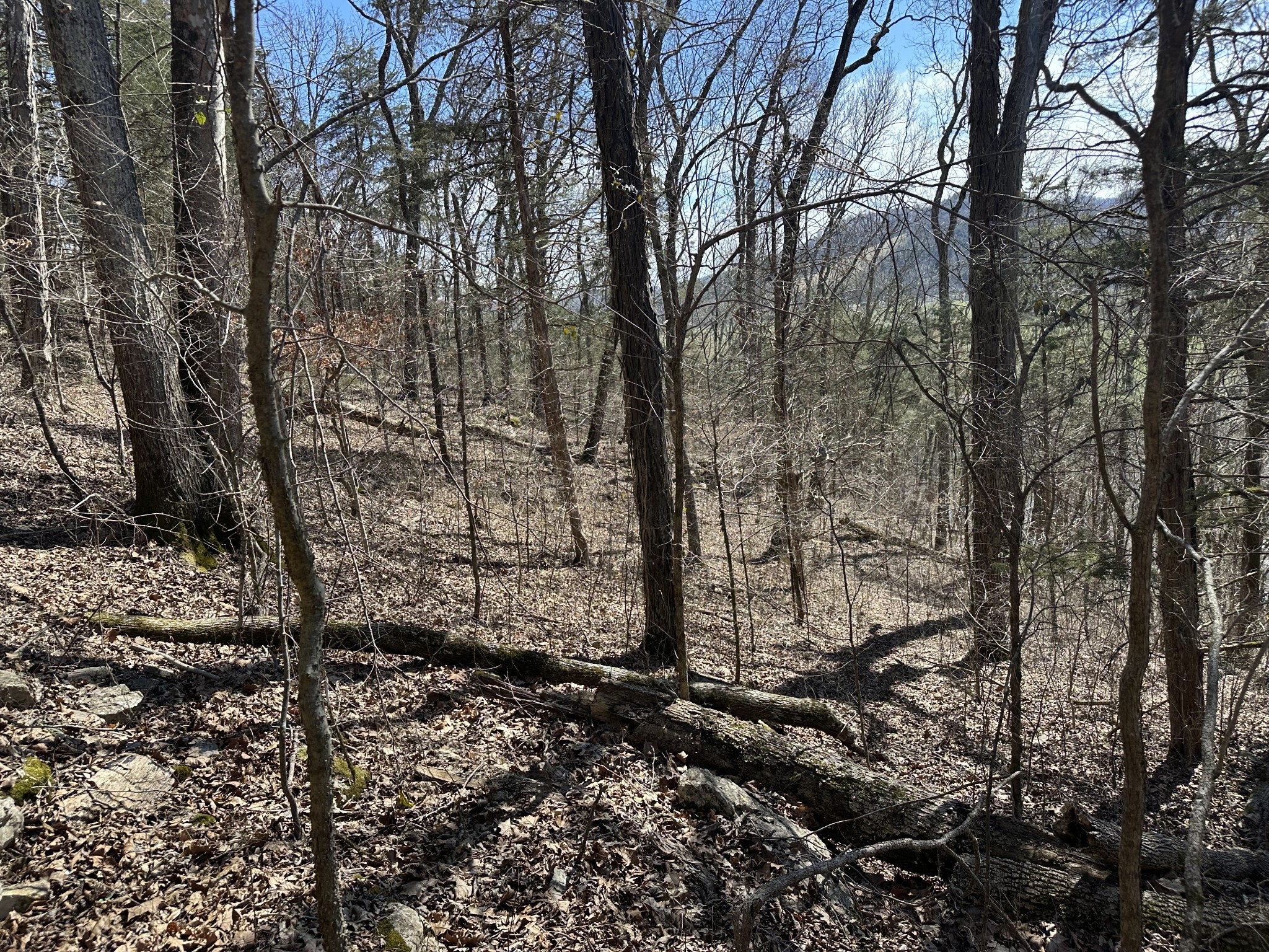 0 Ben Gentry Ln Property Photo 17