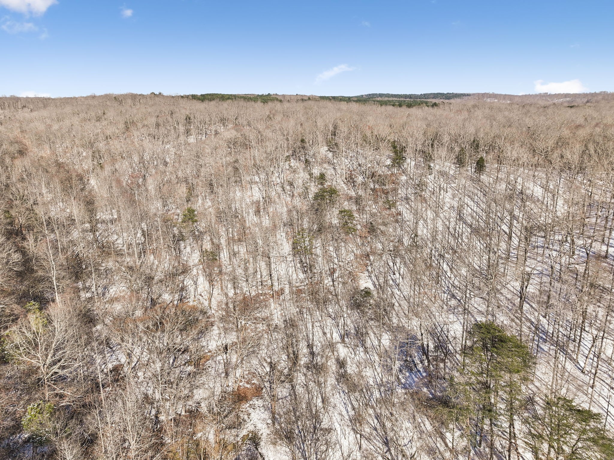 0 Russell Creek Rd Property Photo 3