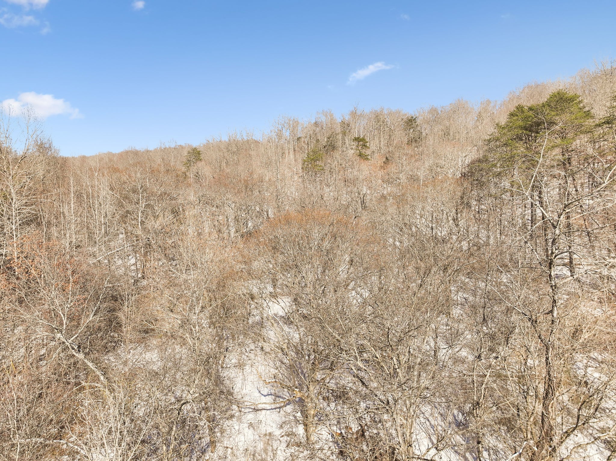 0 Russell Creek Rd Property Photo 21