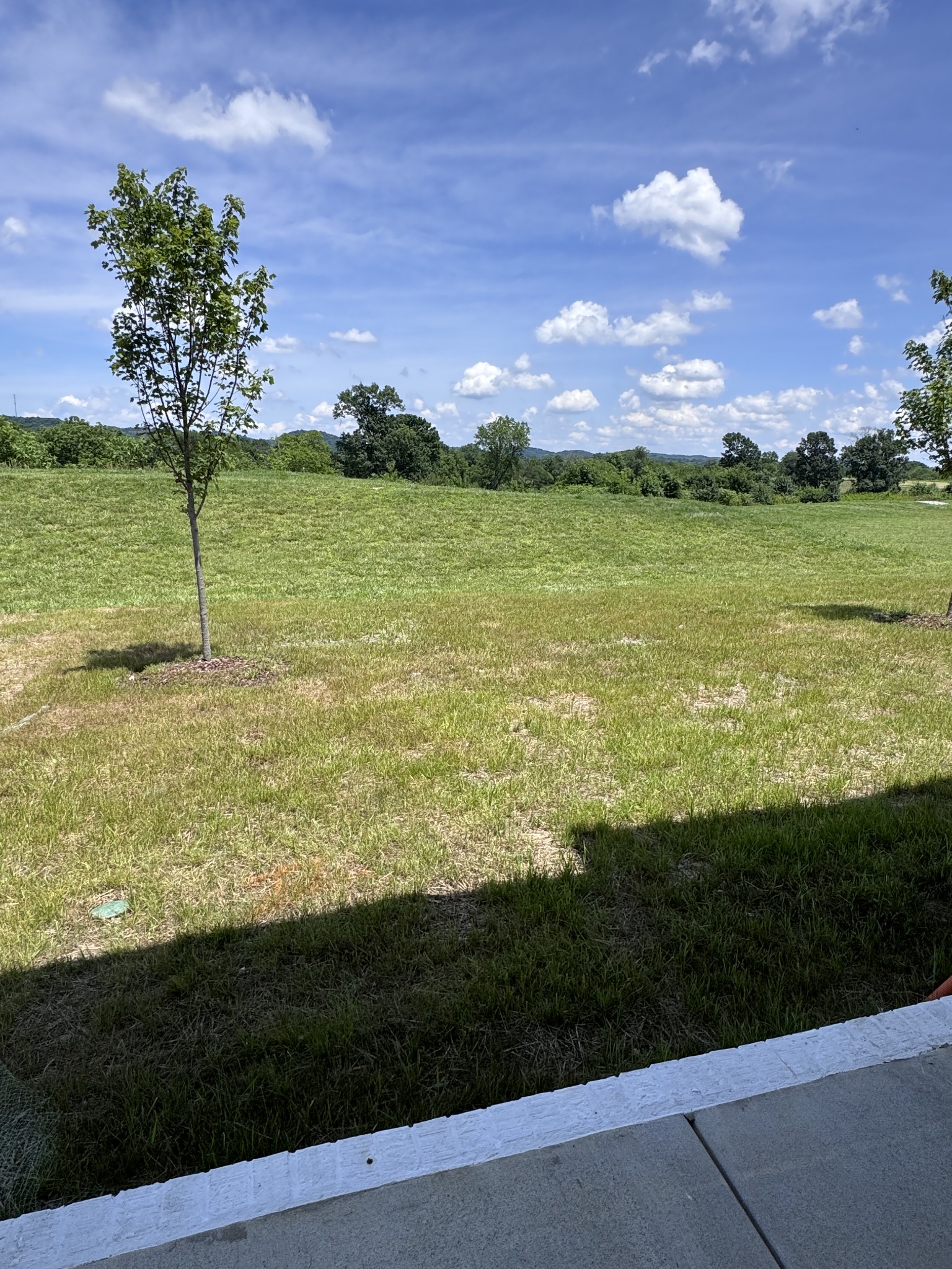 3520 Burgate Trail Property Photo 20