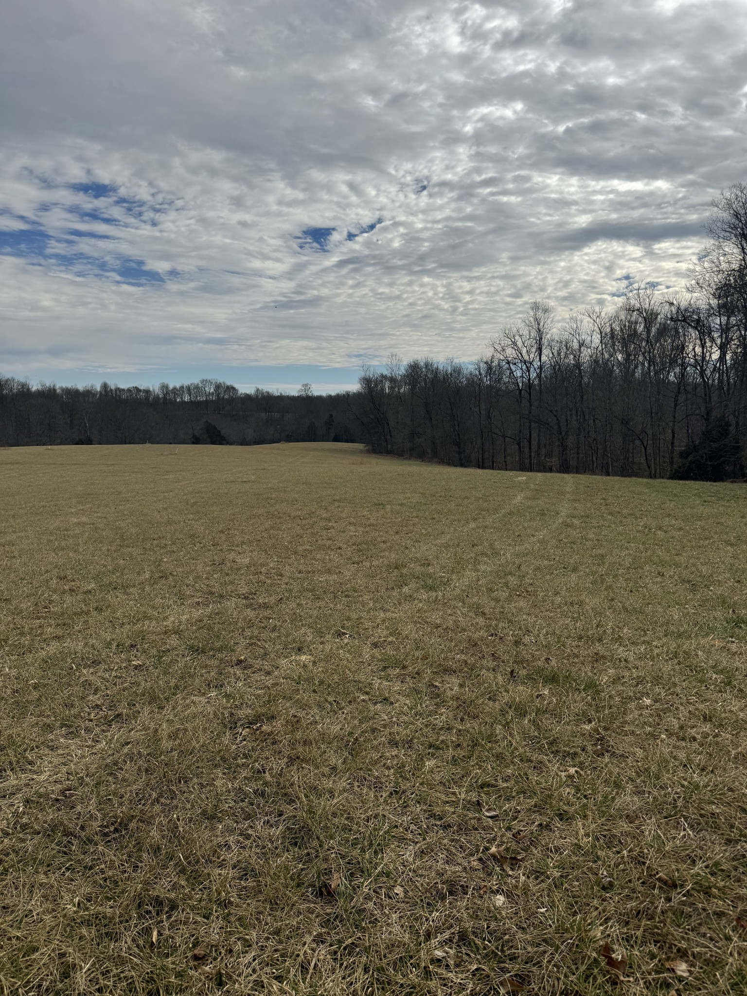 400 White Springs Road Property Photo 2