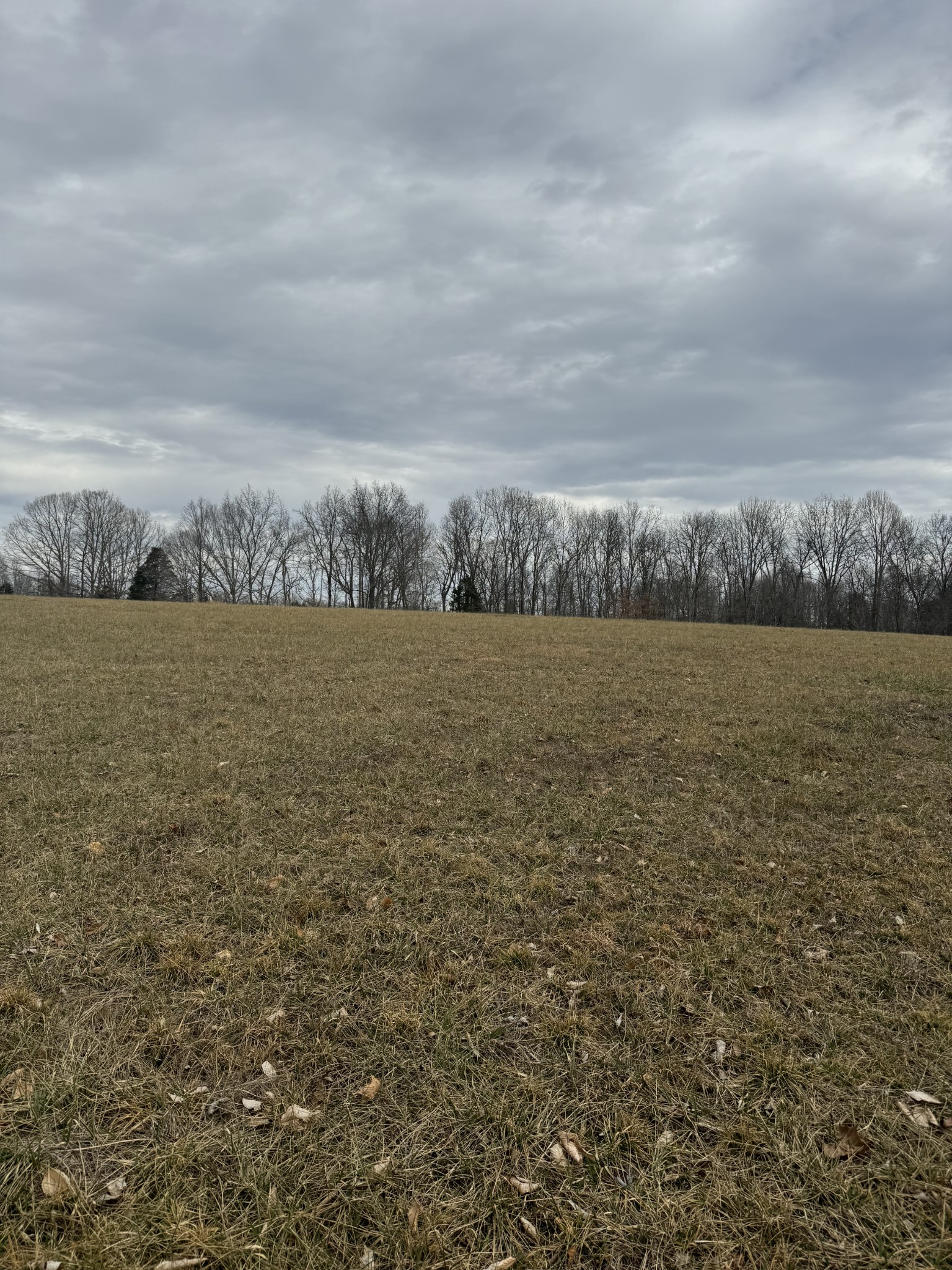 400 White Springs Road Property Photo 4