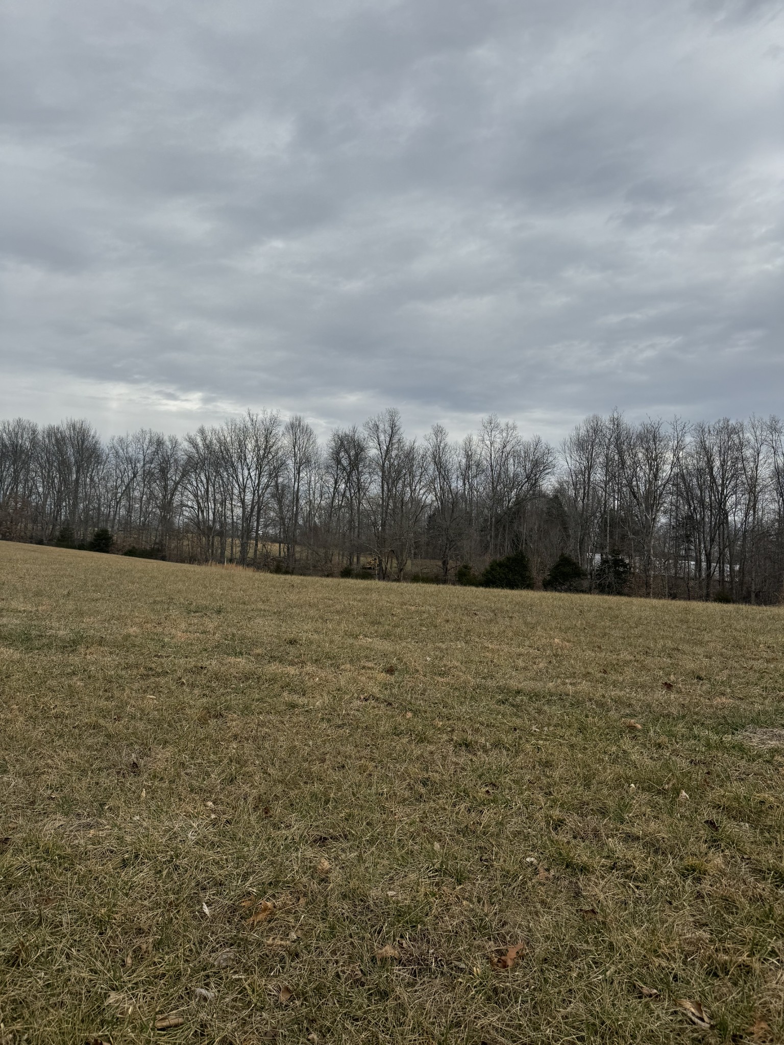400 White Springs Road Property Photo 5
