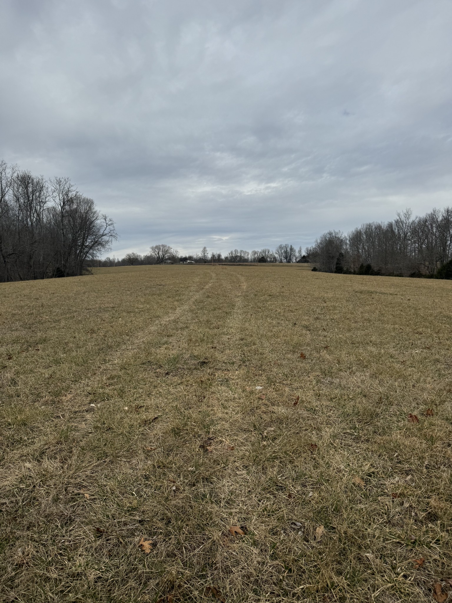 400 White Springs Road Property Photo 6