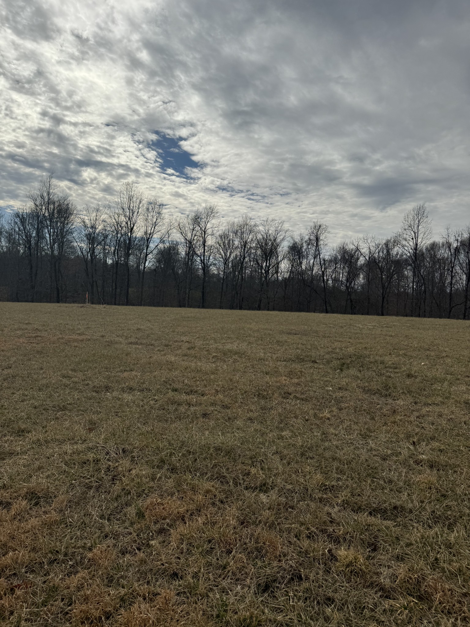 400 White Springs Road Property Photo 7