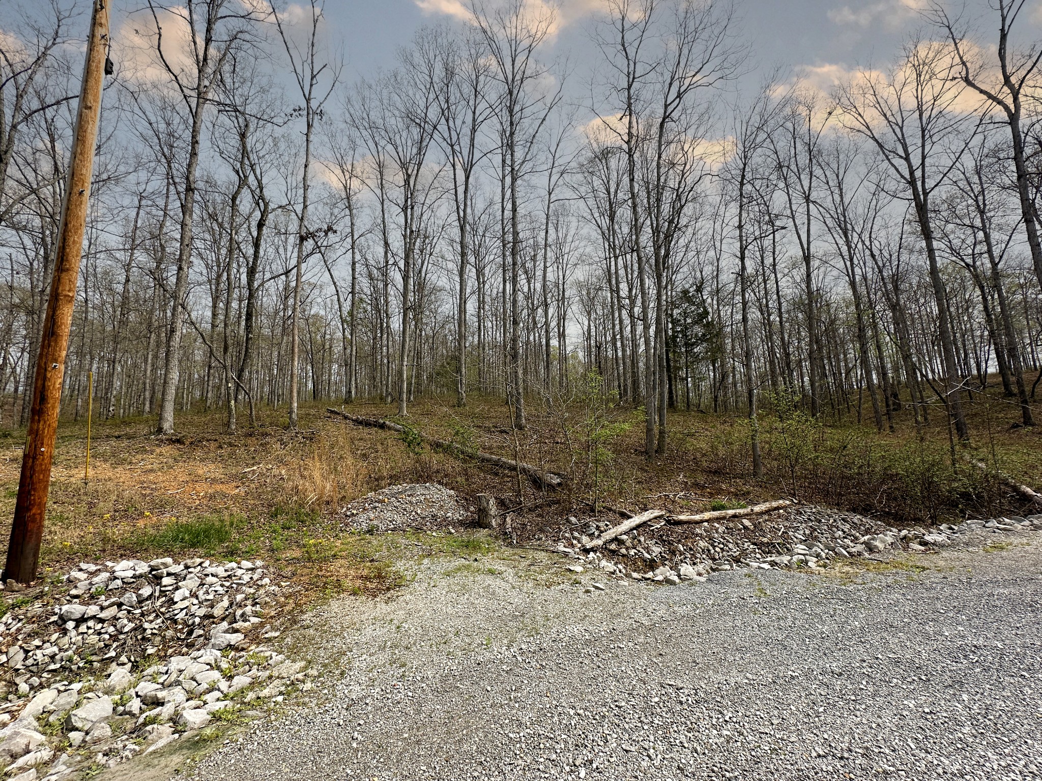 0 Ridgewood Drive Property Photo 6