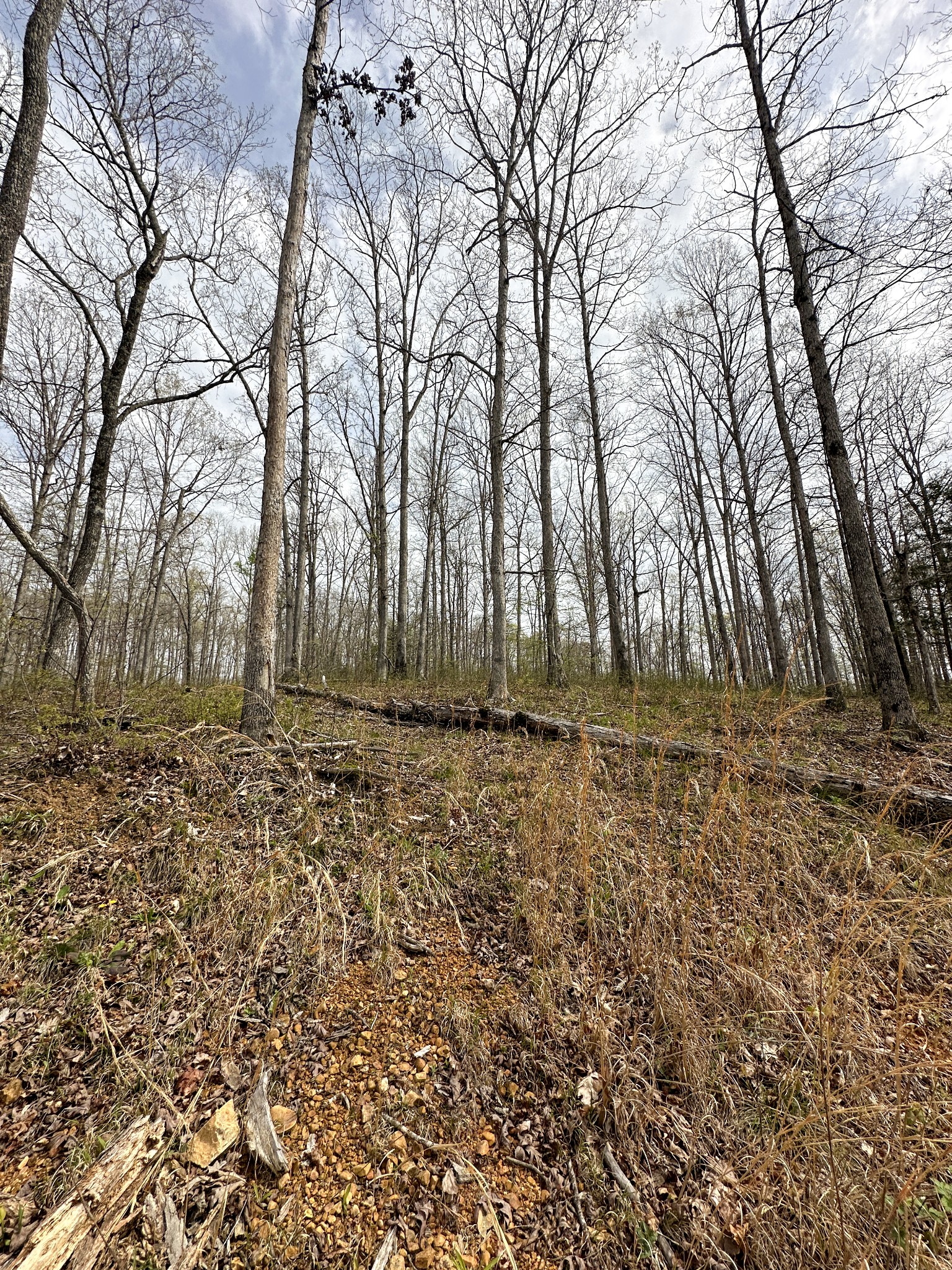 0 Ridgewood Drive Property Photo 8