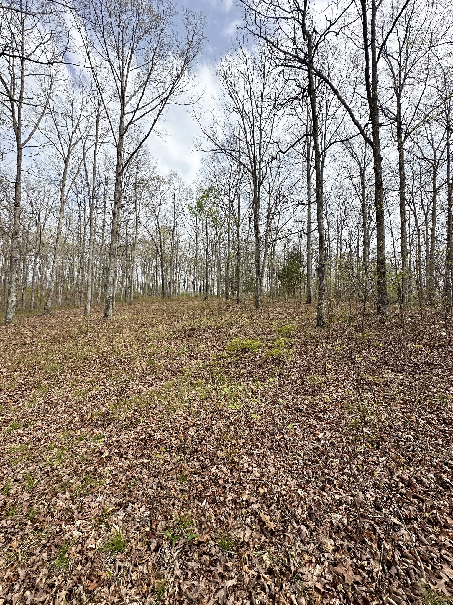 0 Ridgewood Drive Property Photo 11