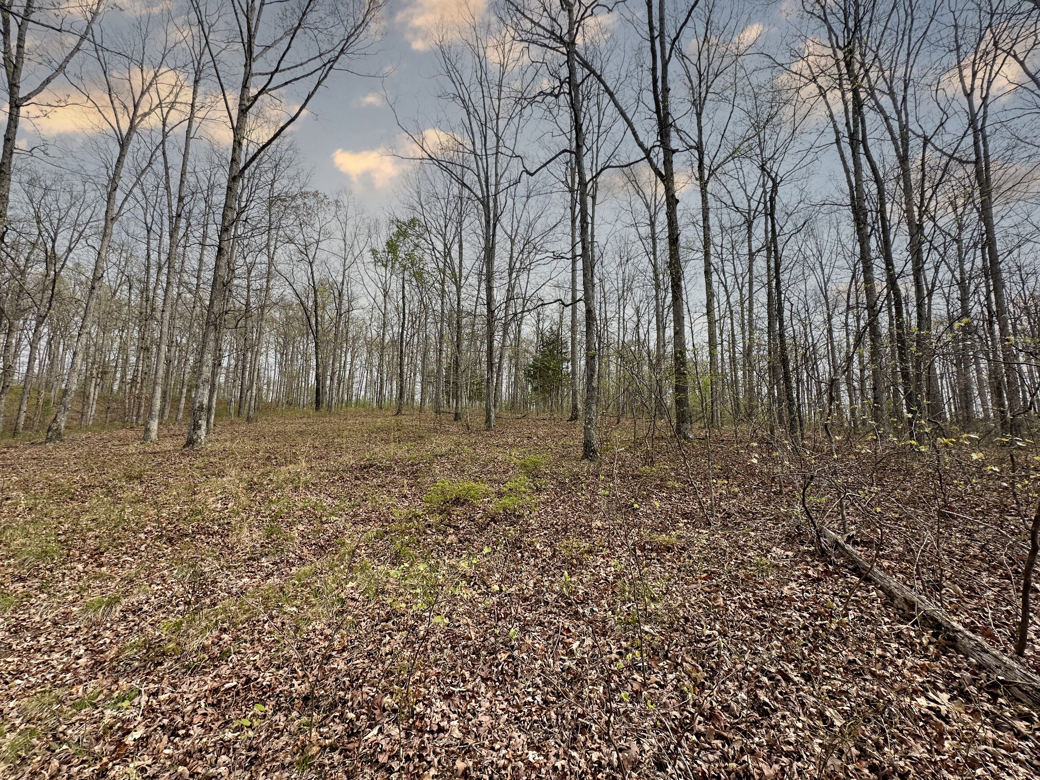 0 Ridgewood Drive Property Photo 13