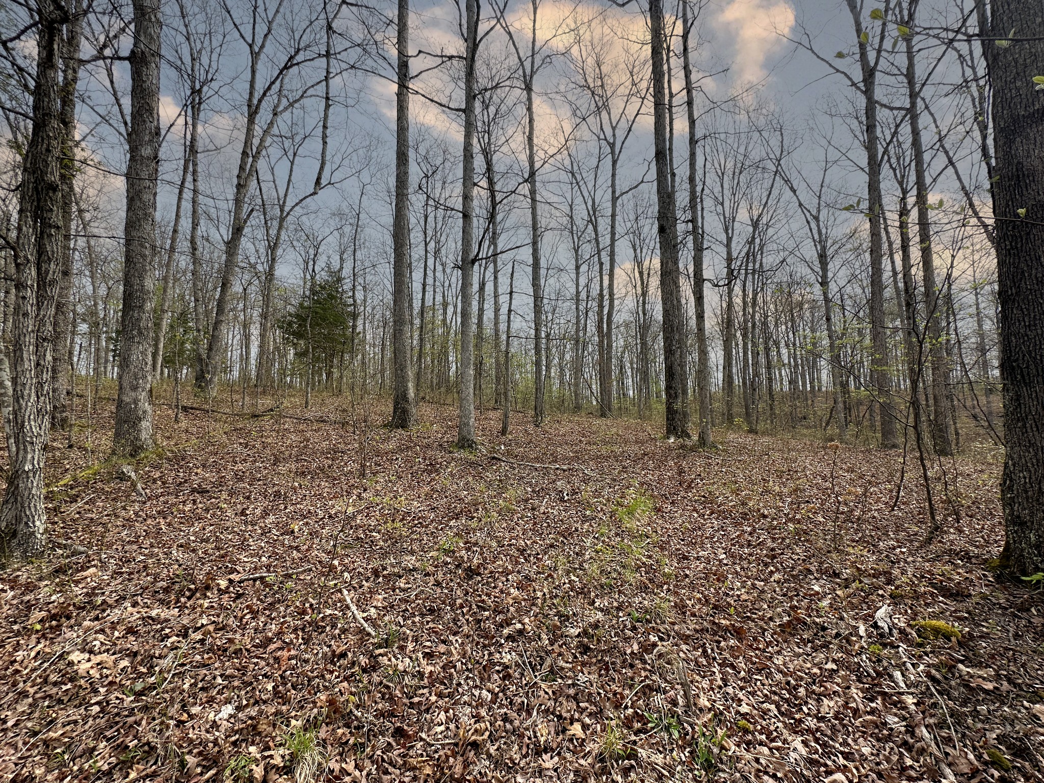 0 Ridgewood Drive Property Photo 15
