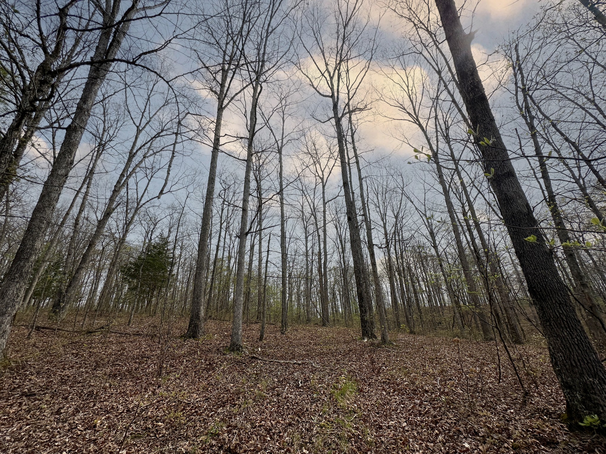 0 Ridgewood Drive Property Photo 16