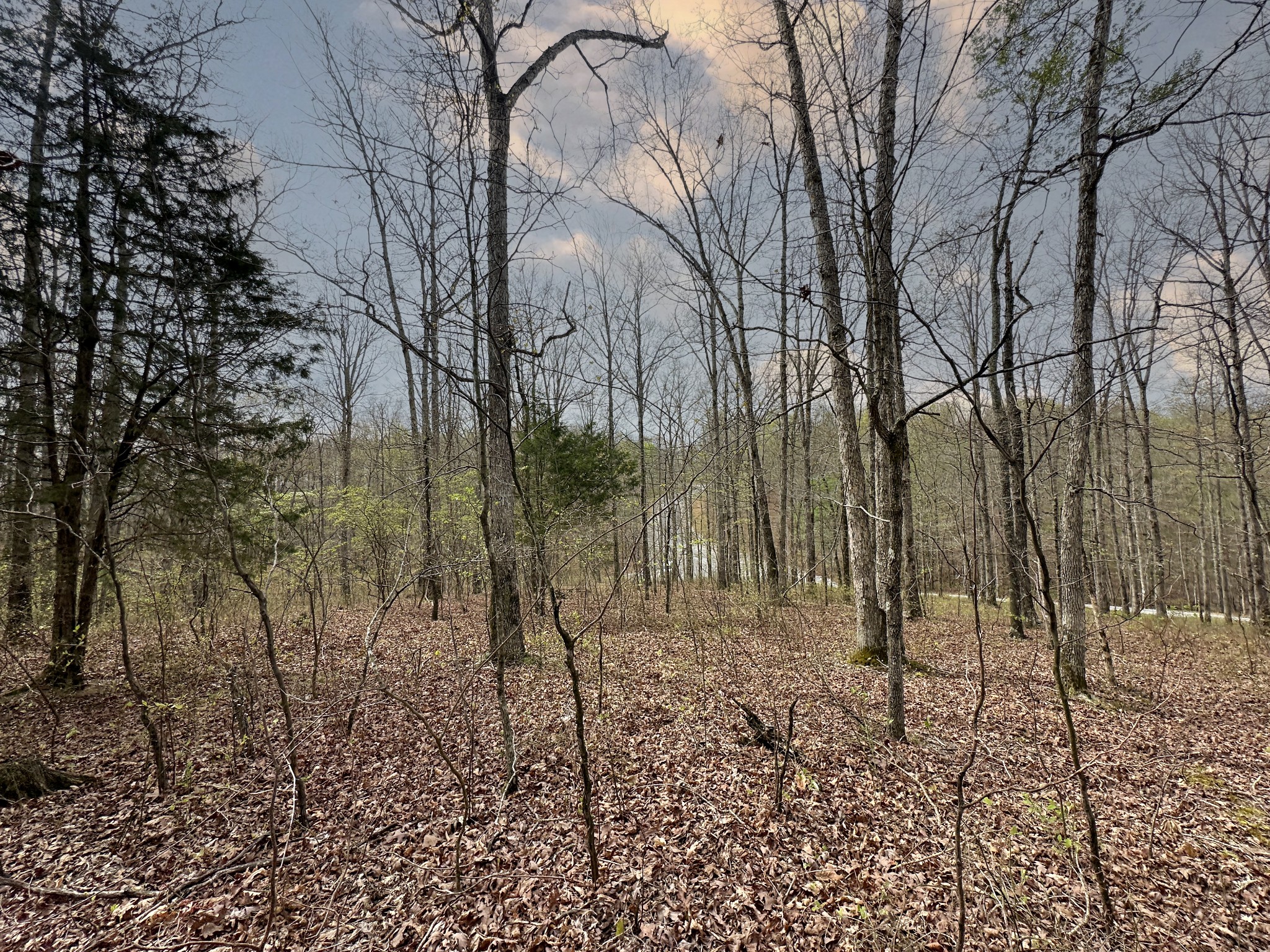 0 Ridgewood Drive Property Photo 17