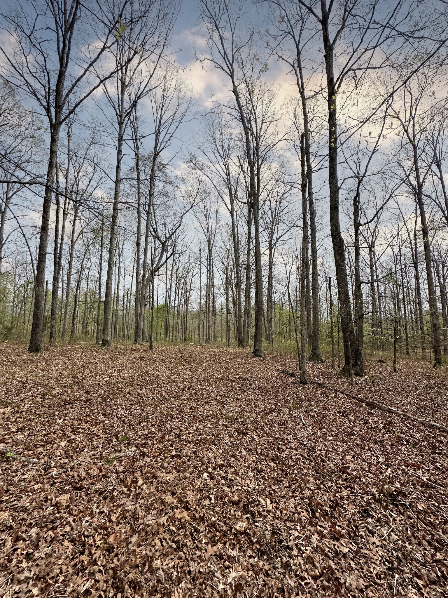 0 Ridgewood Drive Property Photo 33