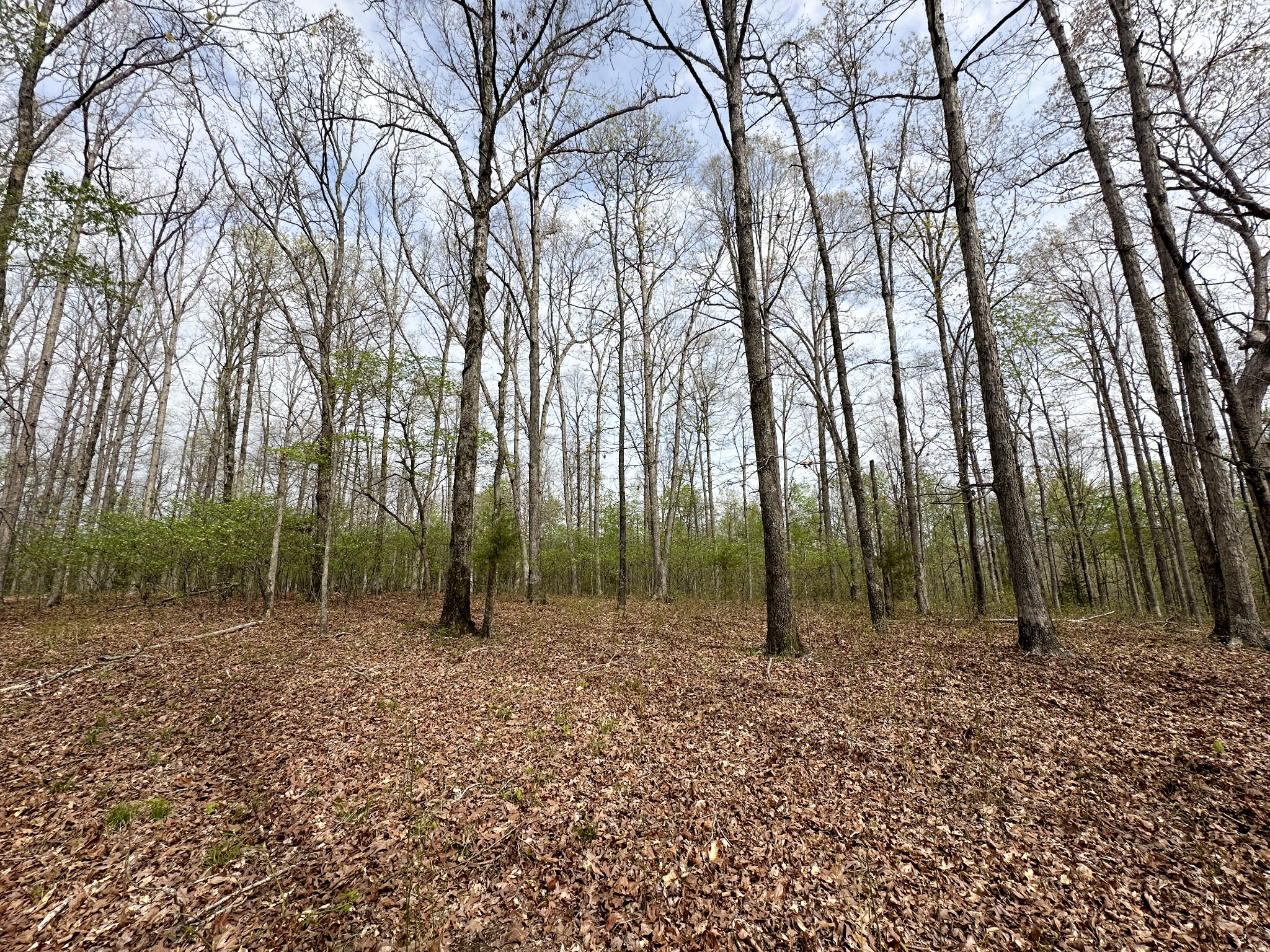 0 Ridgewood Drive Property Photo 35