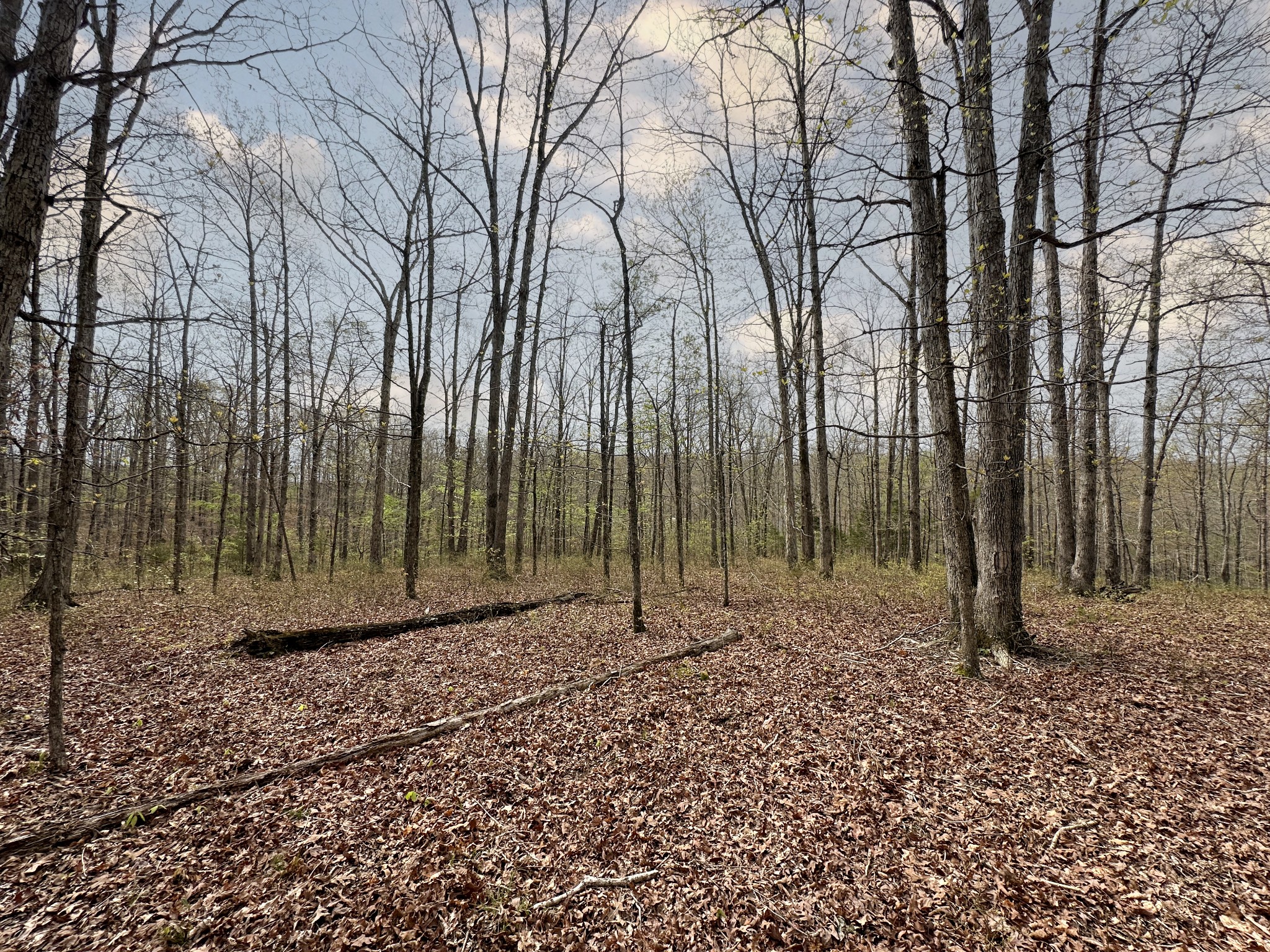 0 Ridgewood Drive Property Photo 36