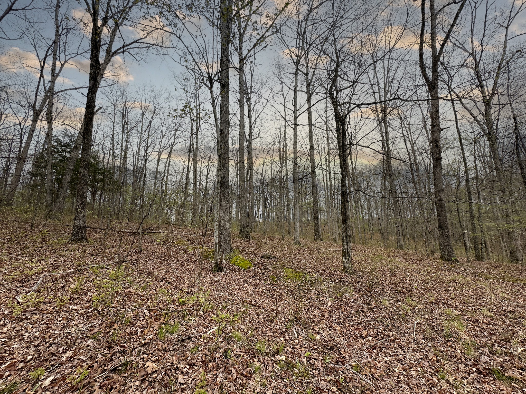 0 Ridgewood Drive Property Photo 38
