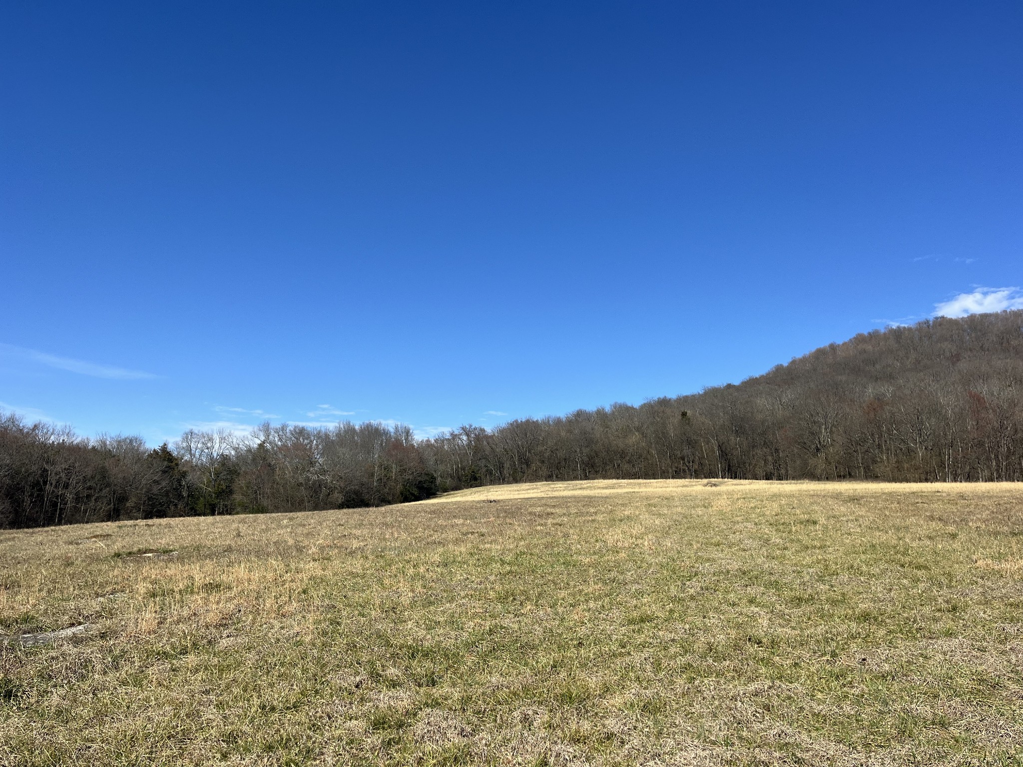 0 Northcutt Rd Property Photo 1