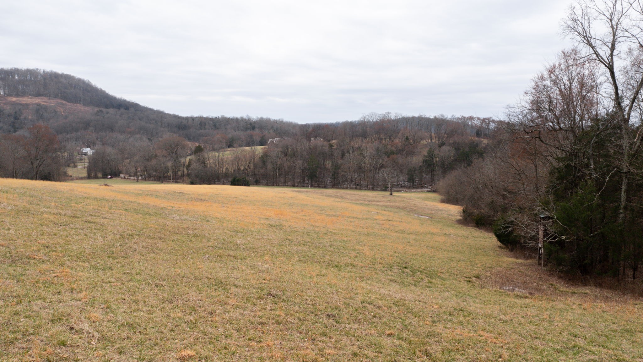 0 Northcutt Rd Property Photo 15