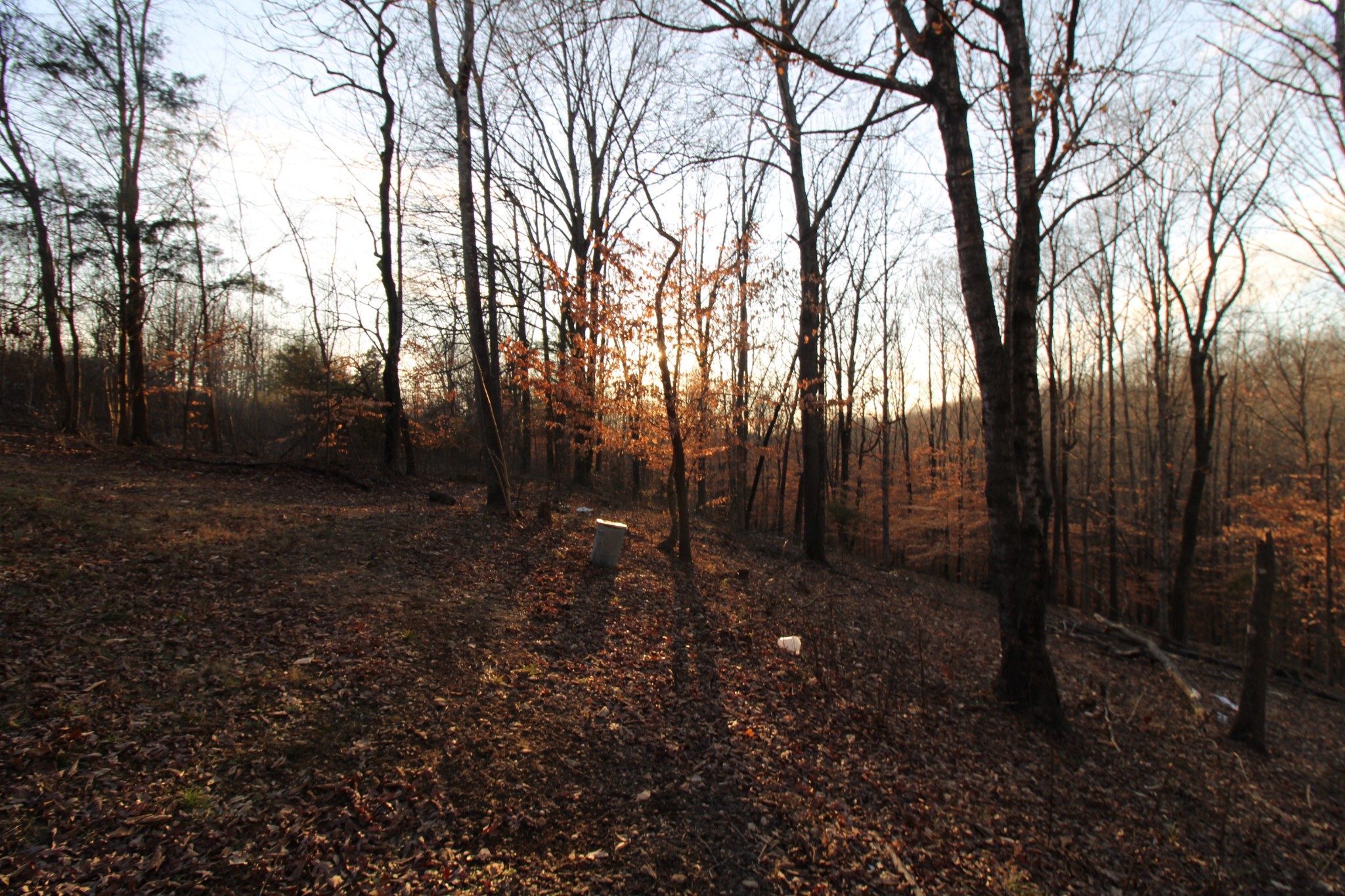 2227 Black Rd Property Photo 5