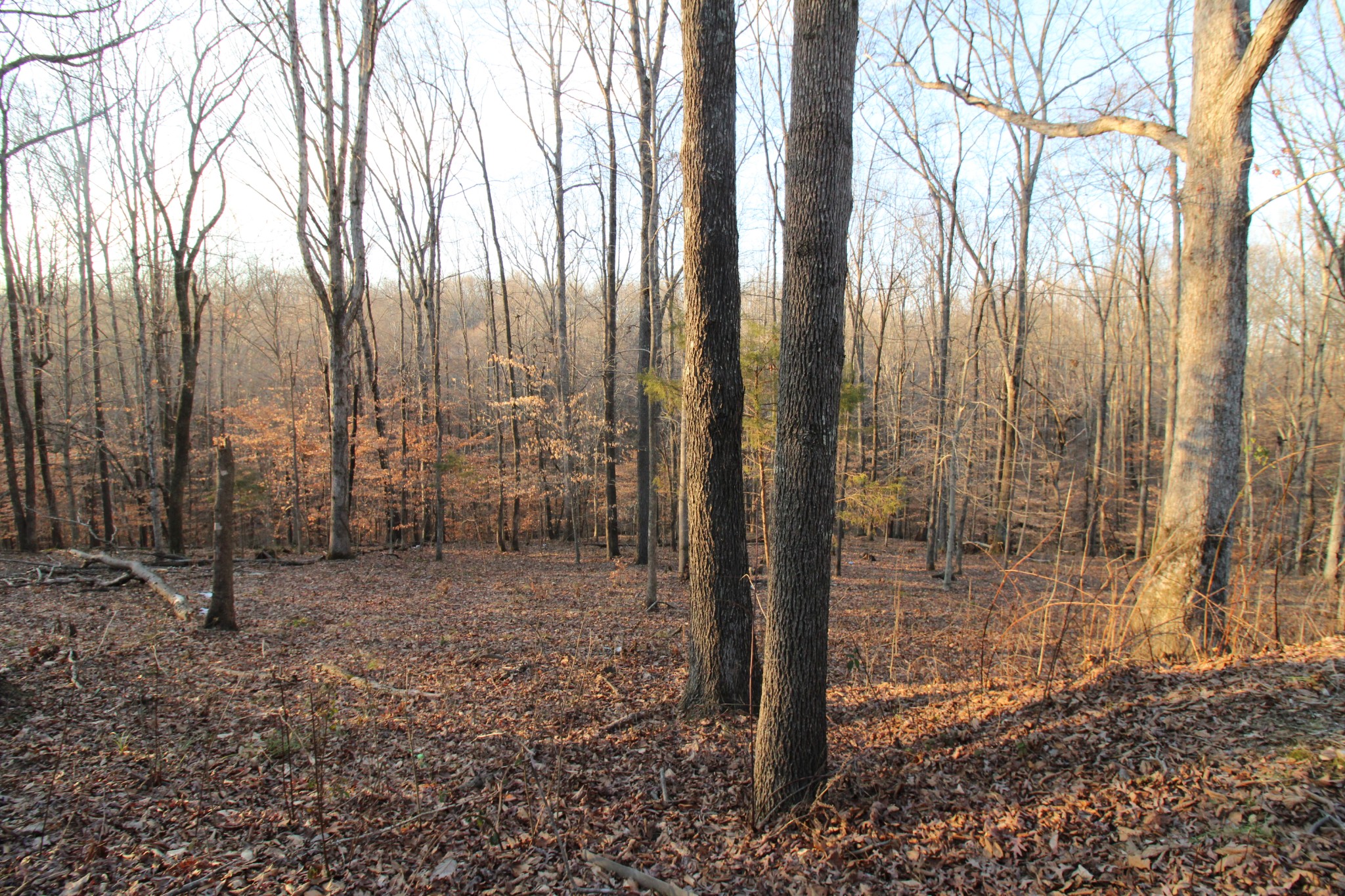 2227 Black Rd Property Photo 6