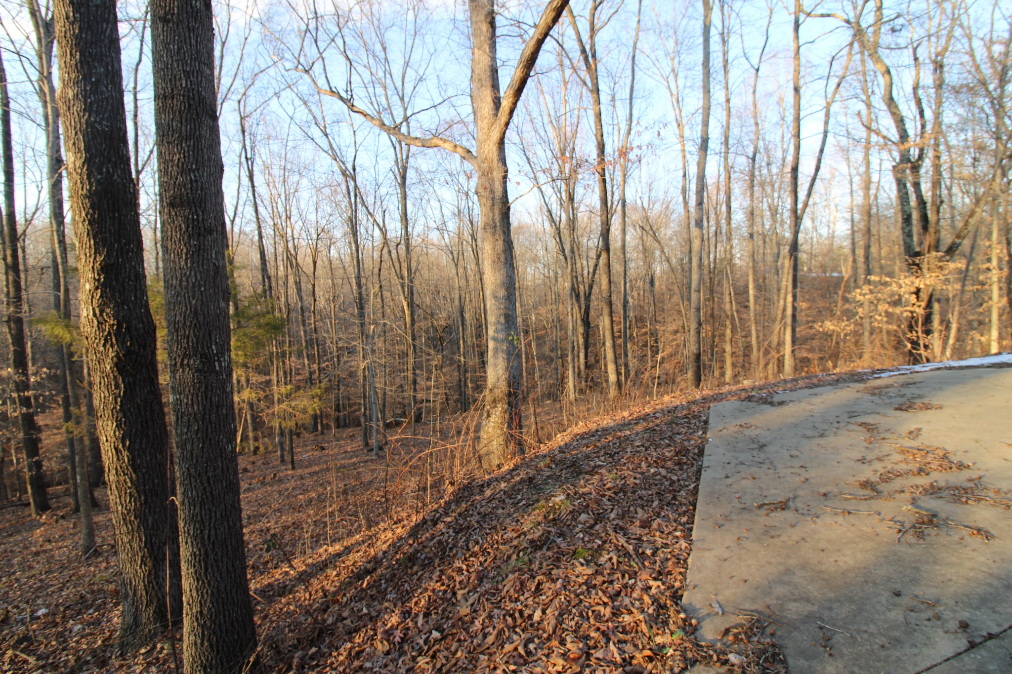 2227 Black Rd Property Photo 7