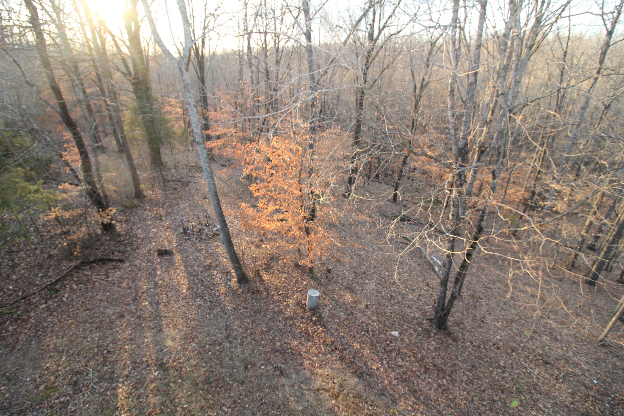 2227 Black Rd Property Photo 38